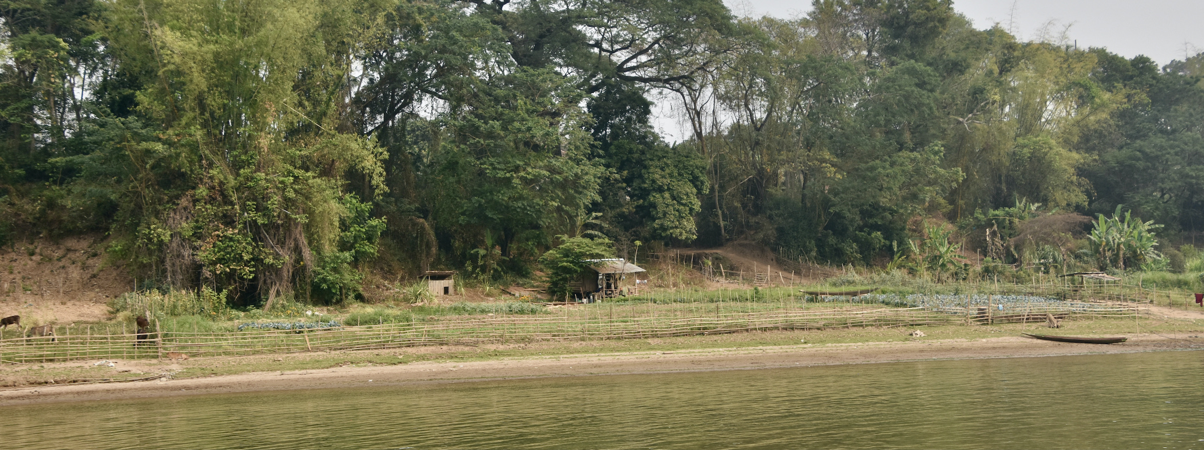 Seasonal Gardens on the Mekong River