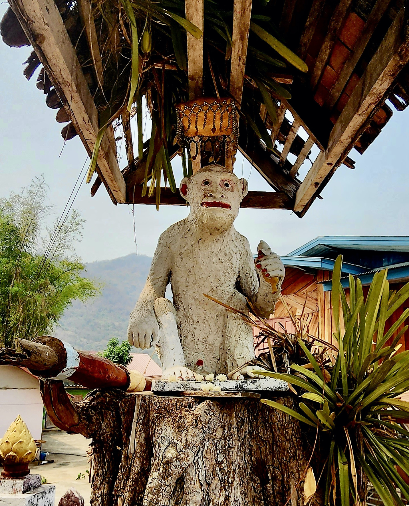 The White Monkey of the Mekong River
