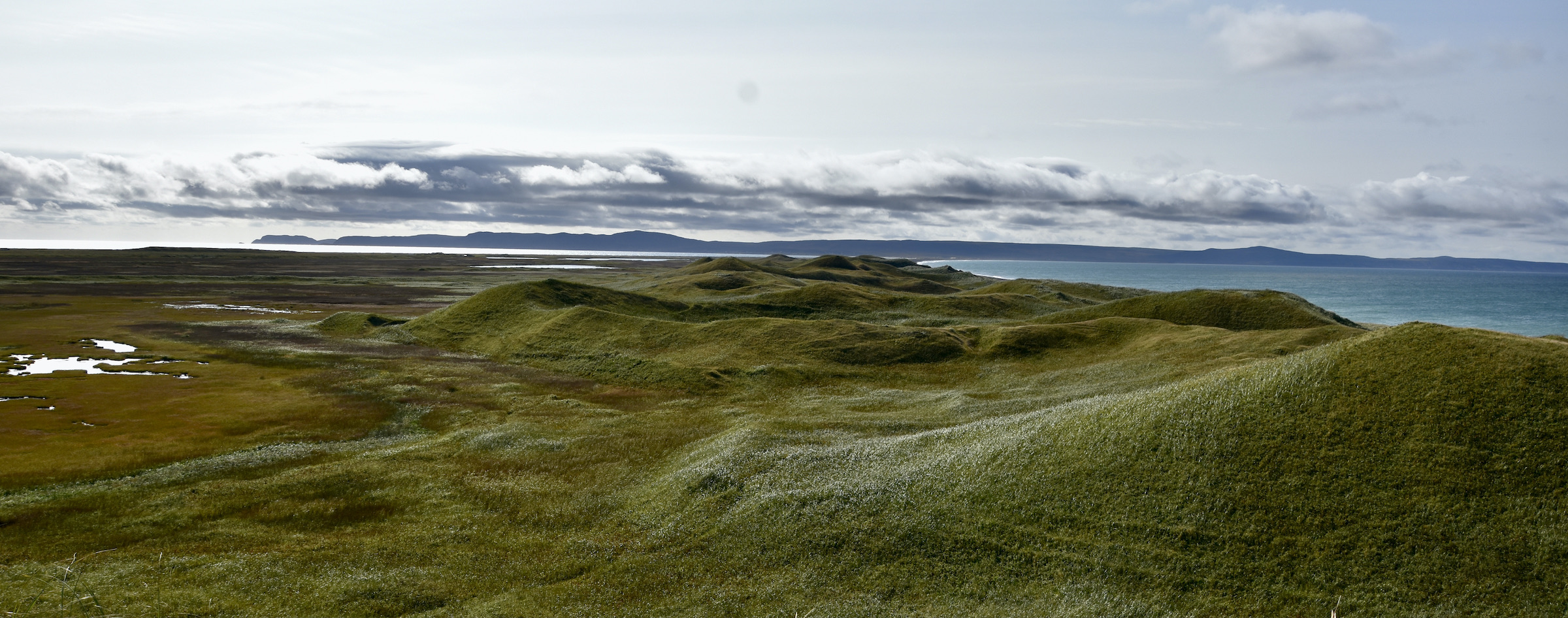 View of the Dunes, St. Pierre & Miquelon