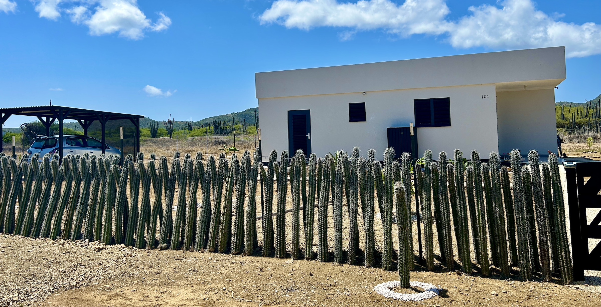 Modern Cactus Fence, Bonaire