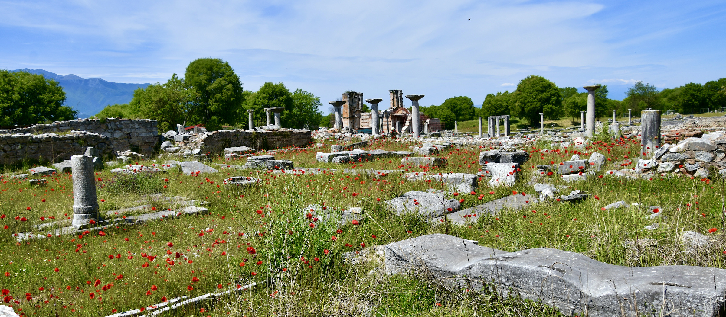 Ruins & Poppies, Philippi