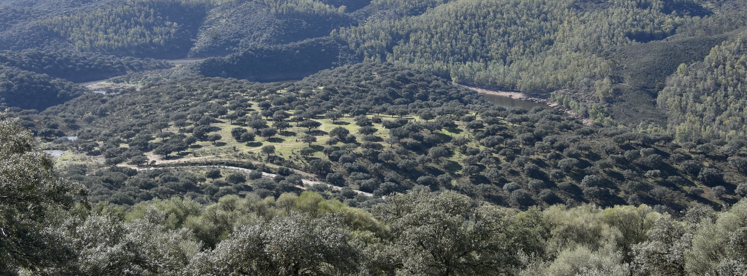 Mediterranean and Dehesa Forests, Monfrague NP