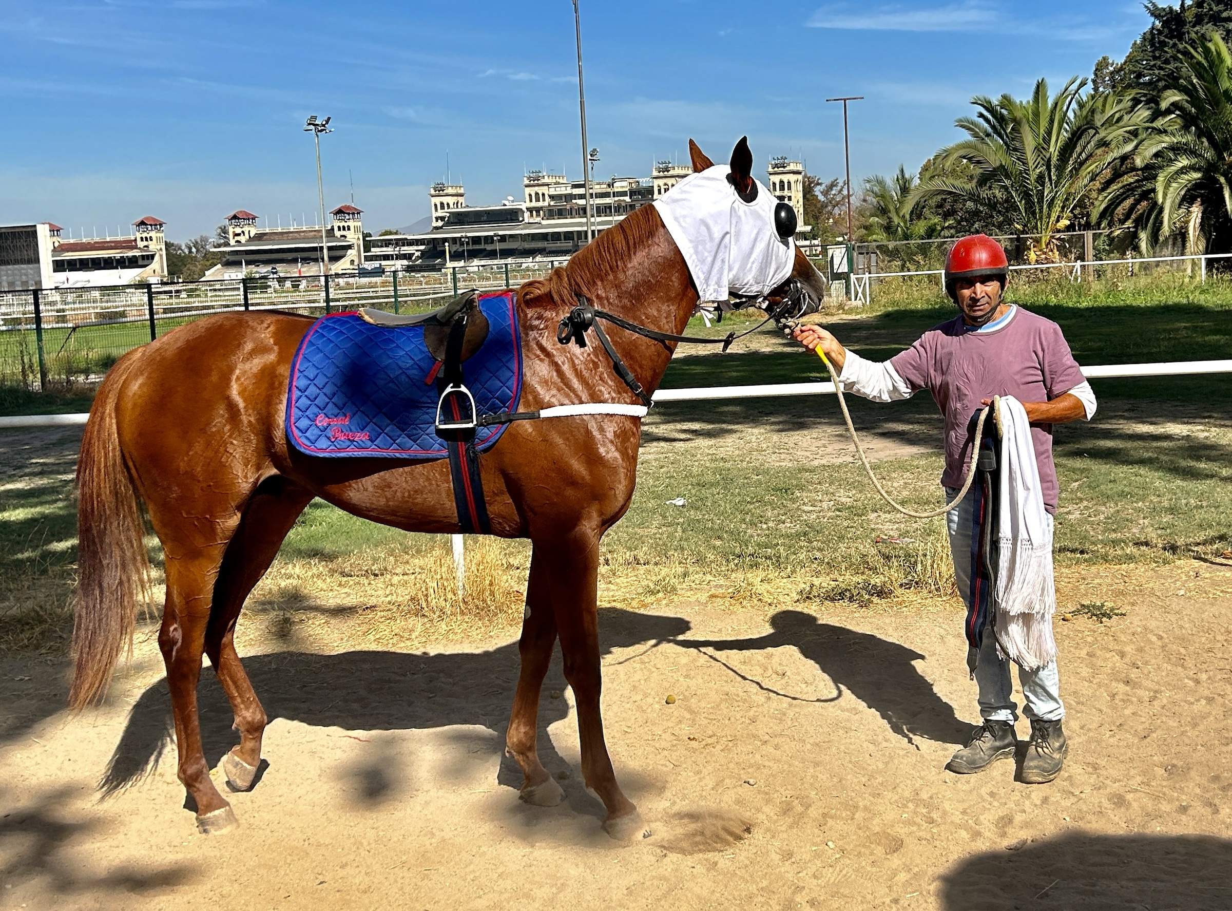 Horse & Trainer, Hipico Racetrack, Santiago