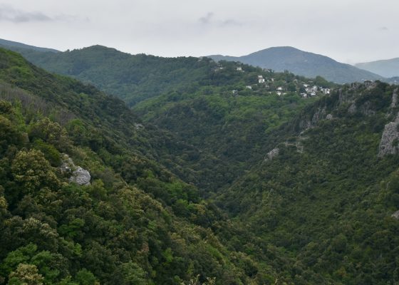Forested Gorge, Mount Pelion