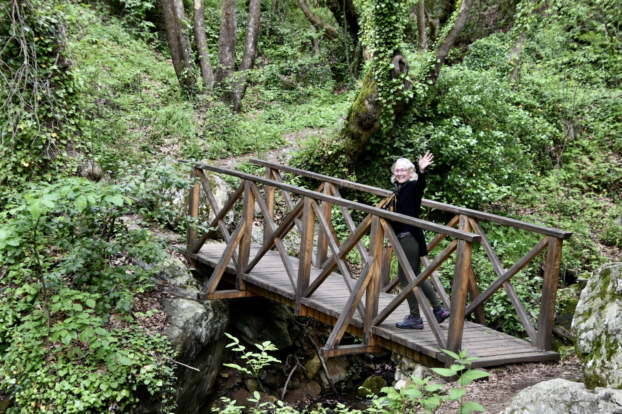 Bridge on the Path, Mount Pelion