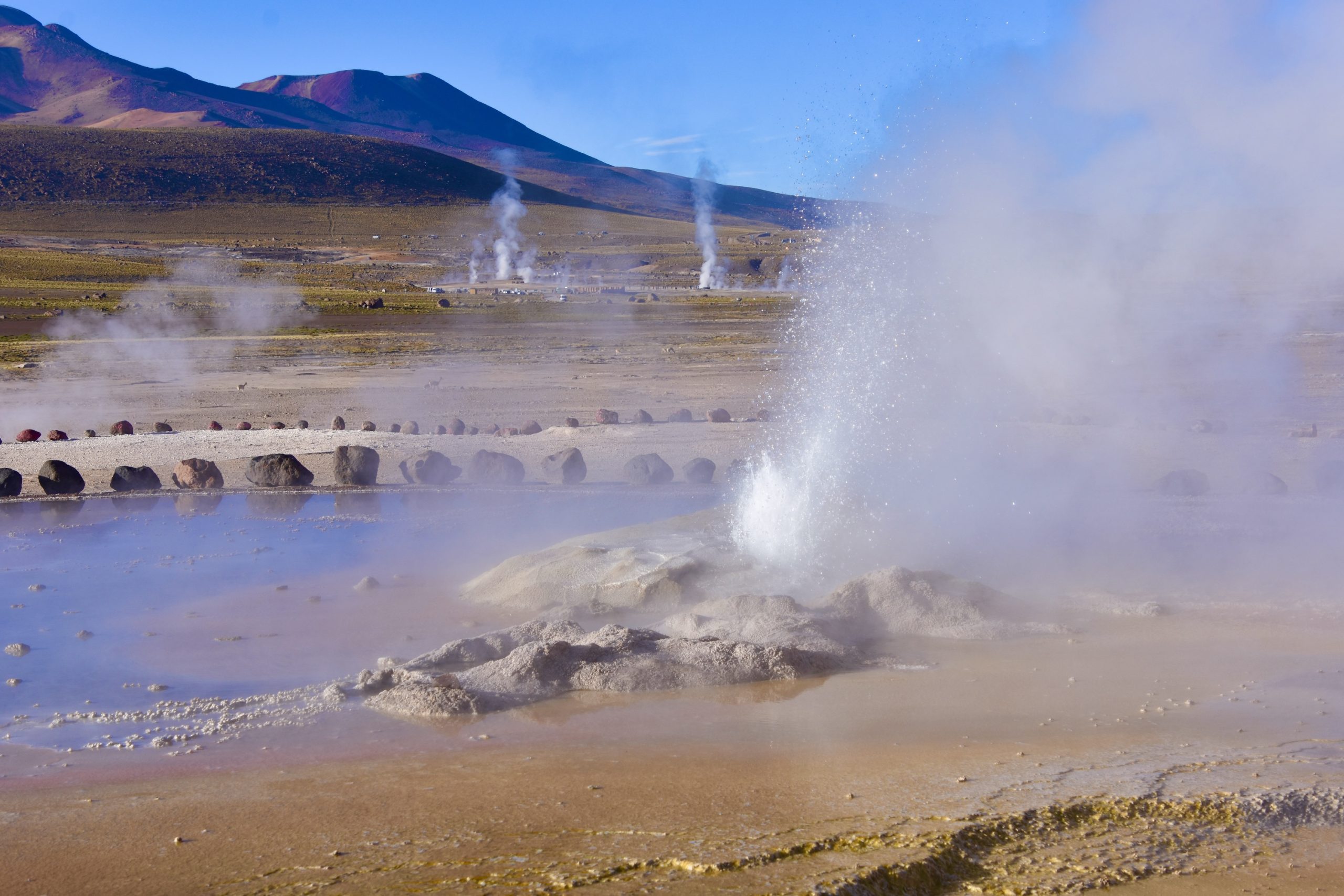 Non-Stop Geyser, El Tatio