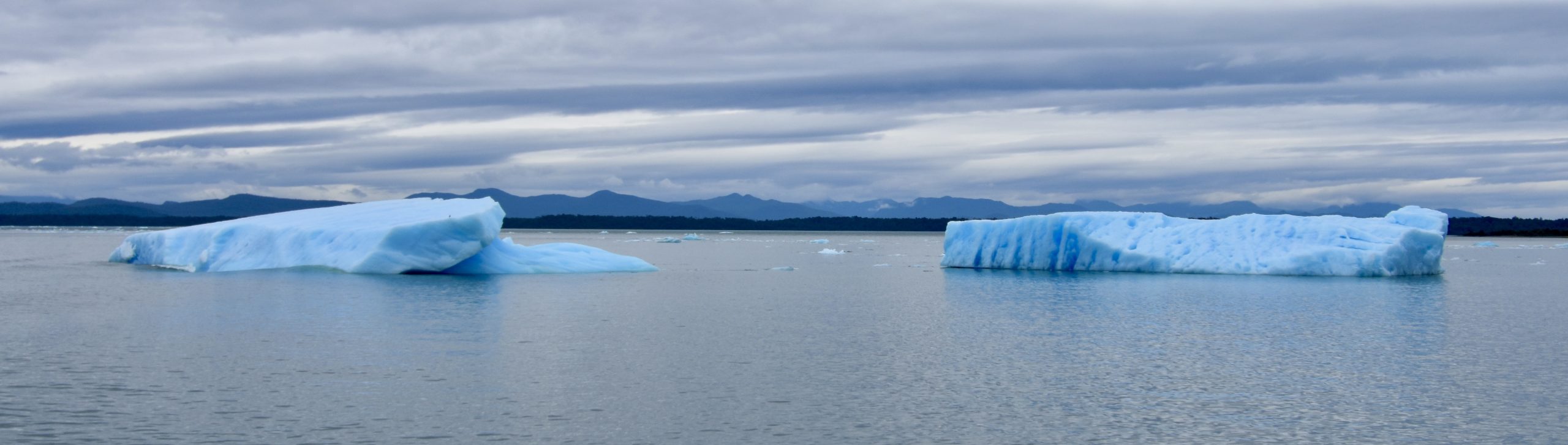 Bergs from San Rafael Glacier