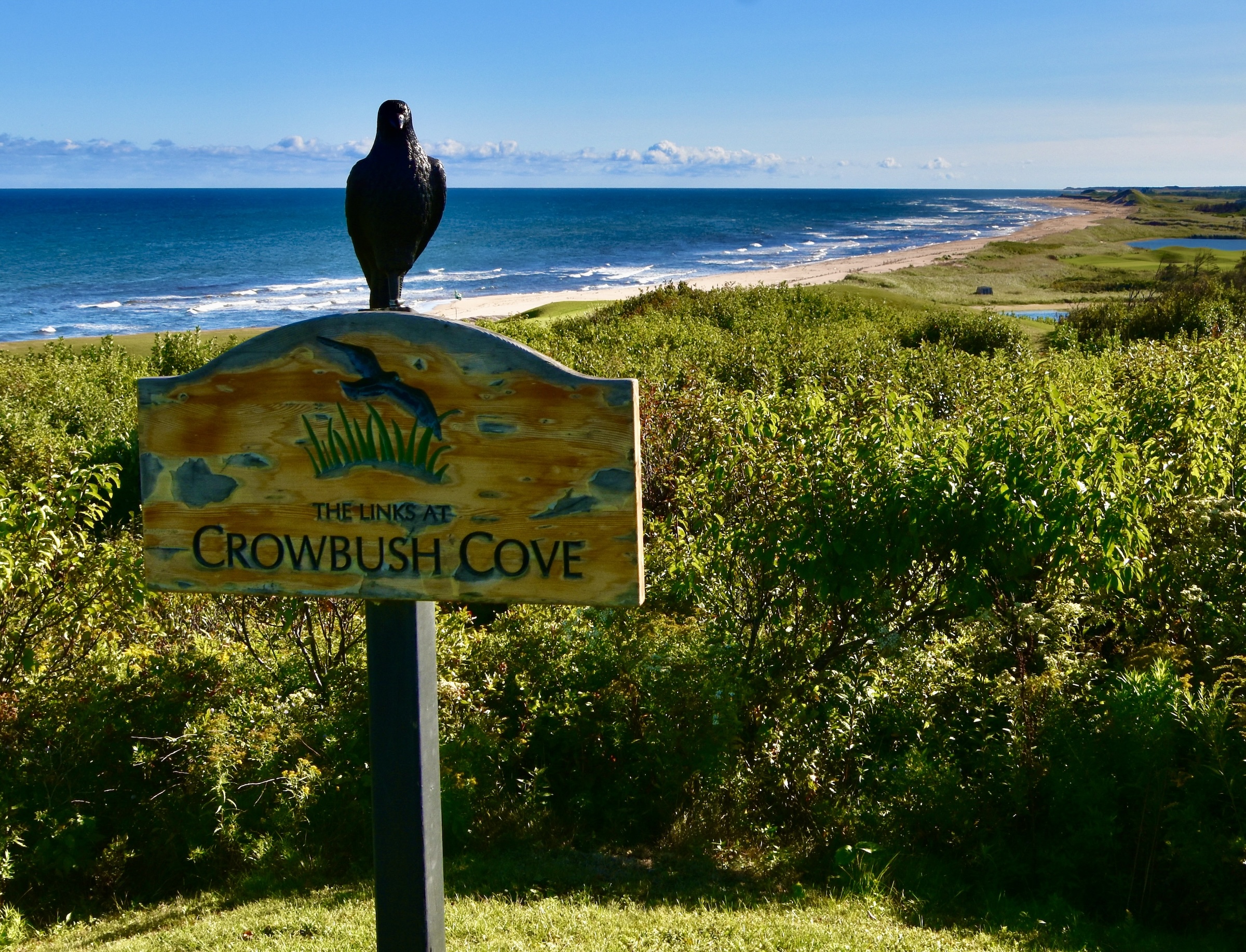 #11 The Crow's Nest at Crowbush Cove