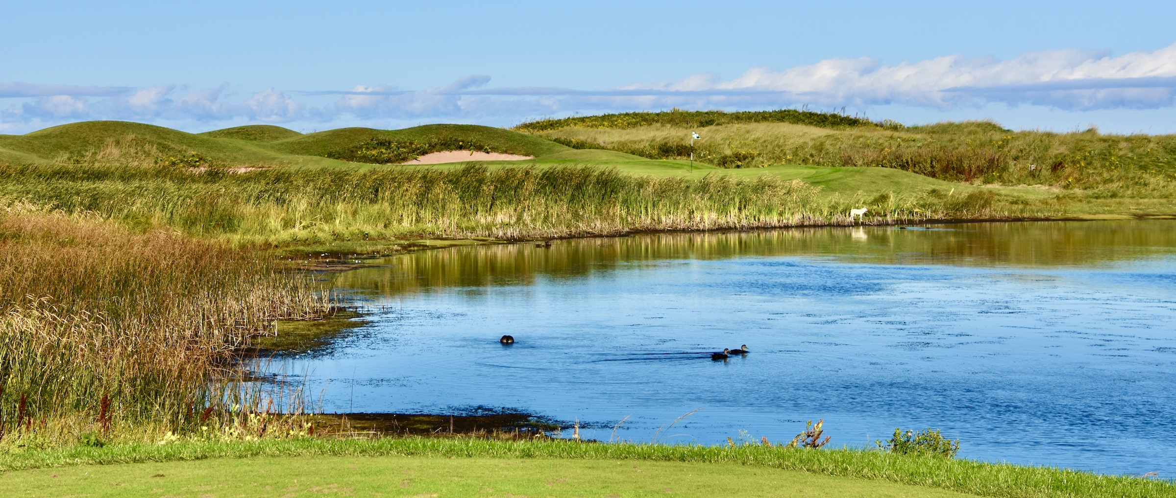 Crowbush Cove #8 Pinnacle Dune