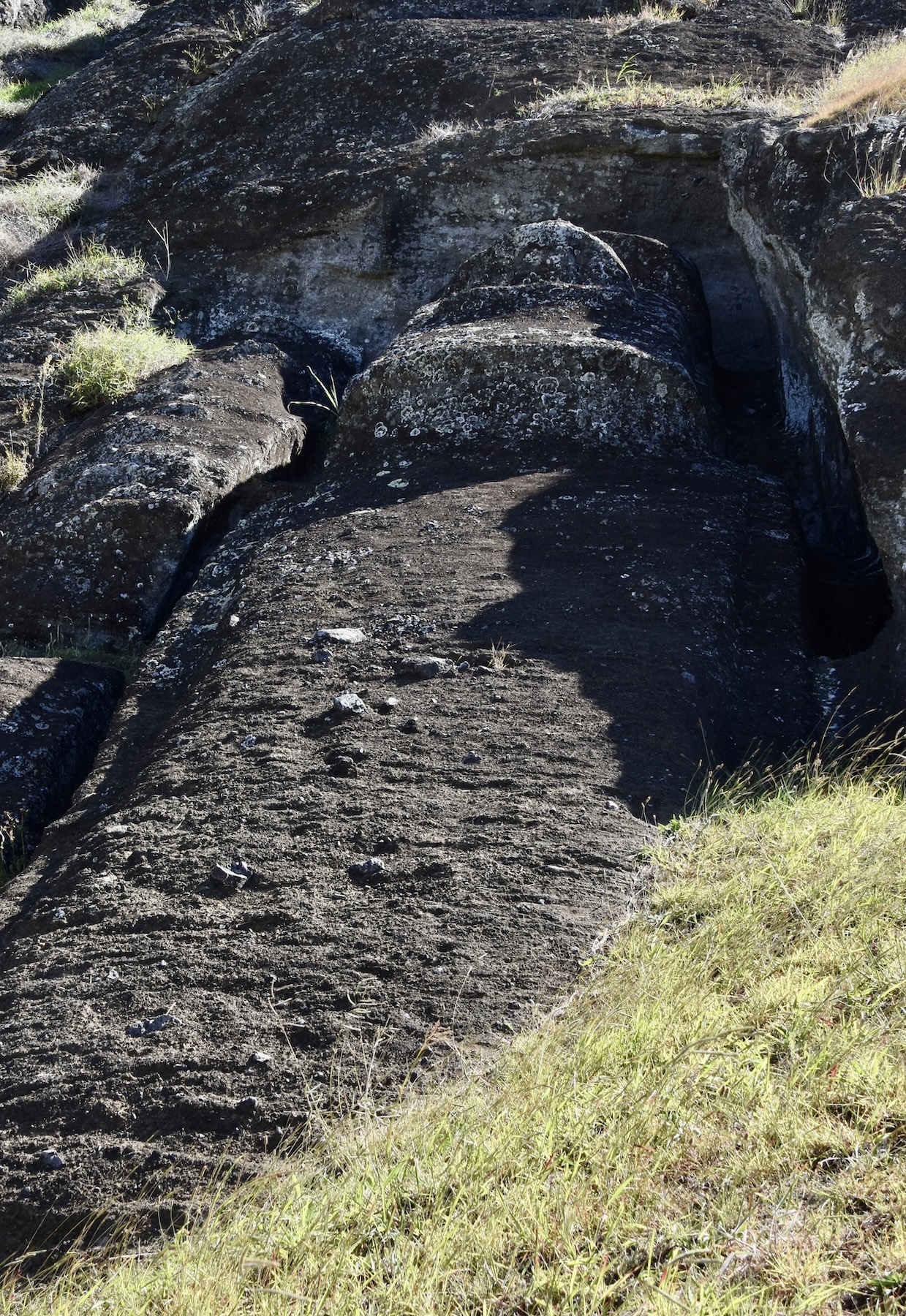 Il Gigantico Moai