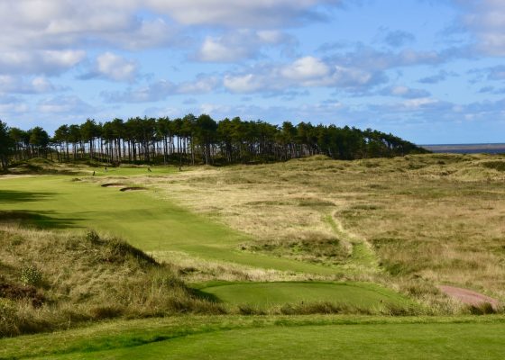 Formby #9