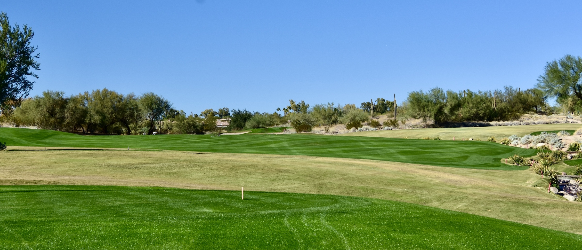 No. 10 Quill Creek Raptor Course Gray Hawk