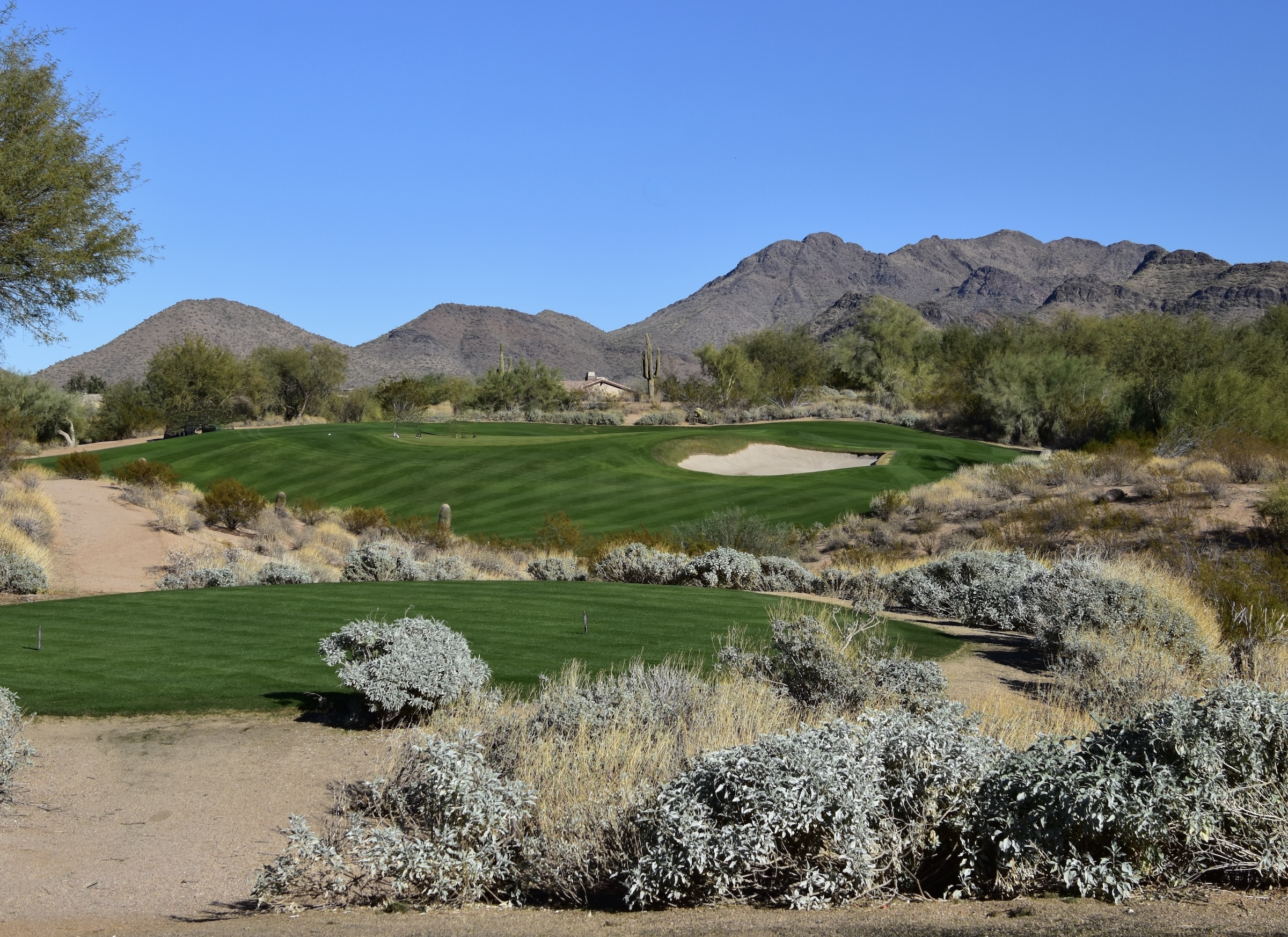 No. 13 Burning Bush Raptor Course Gray Hawk