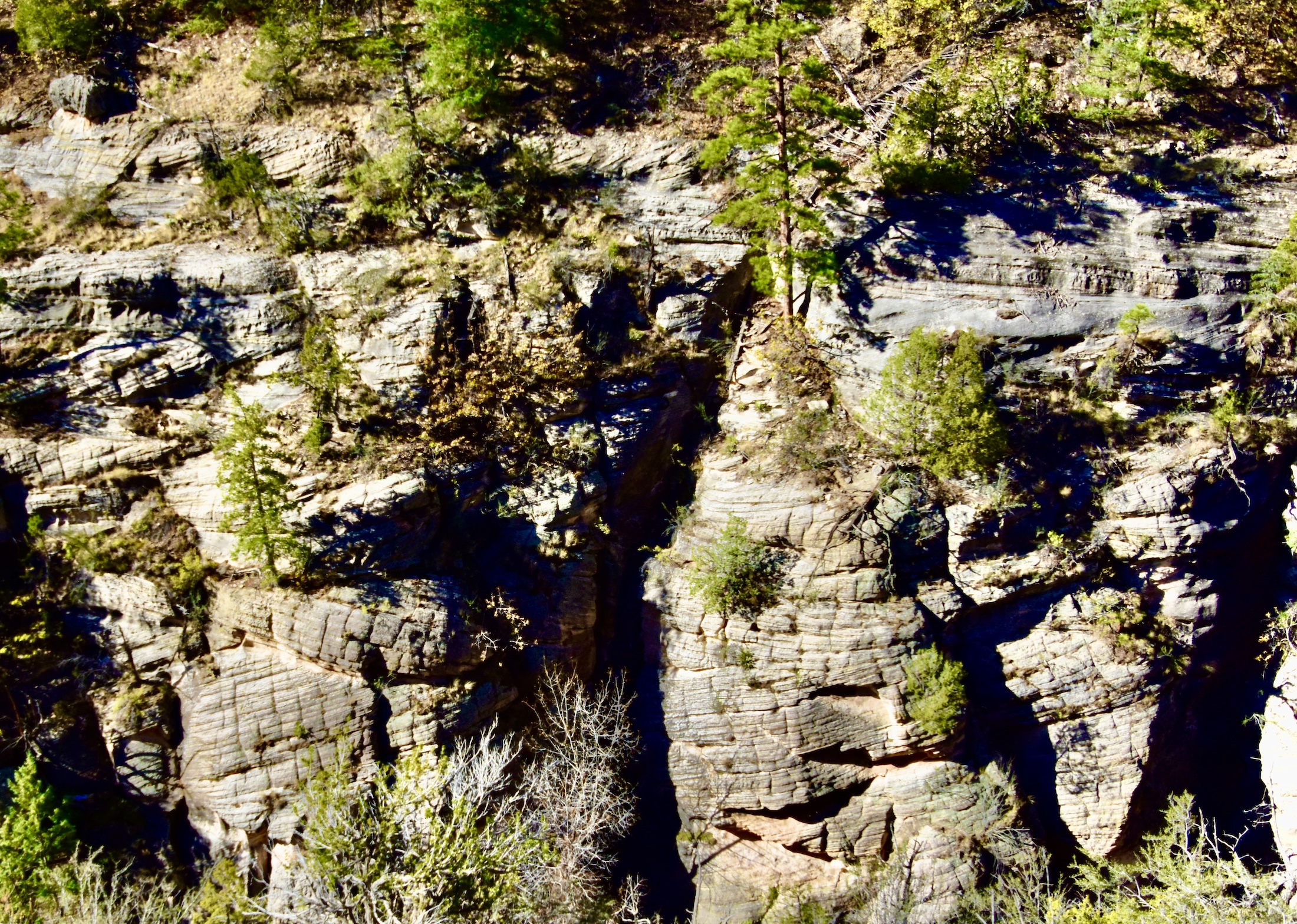 Limestone Cliffs of Walnut Canyon