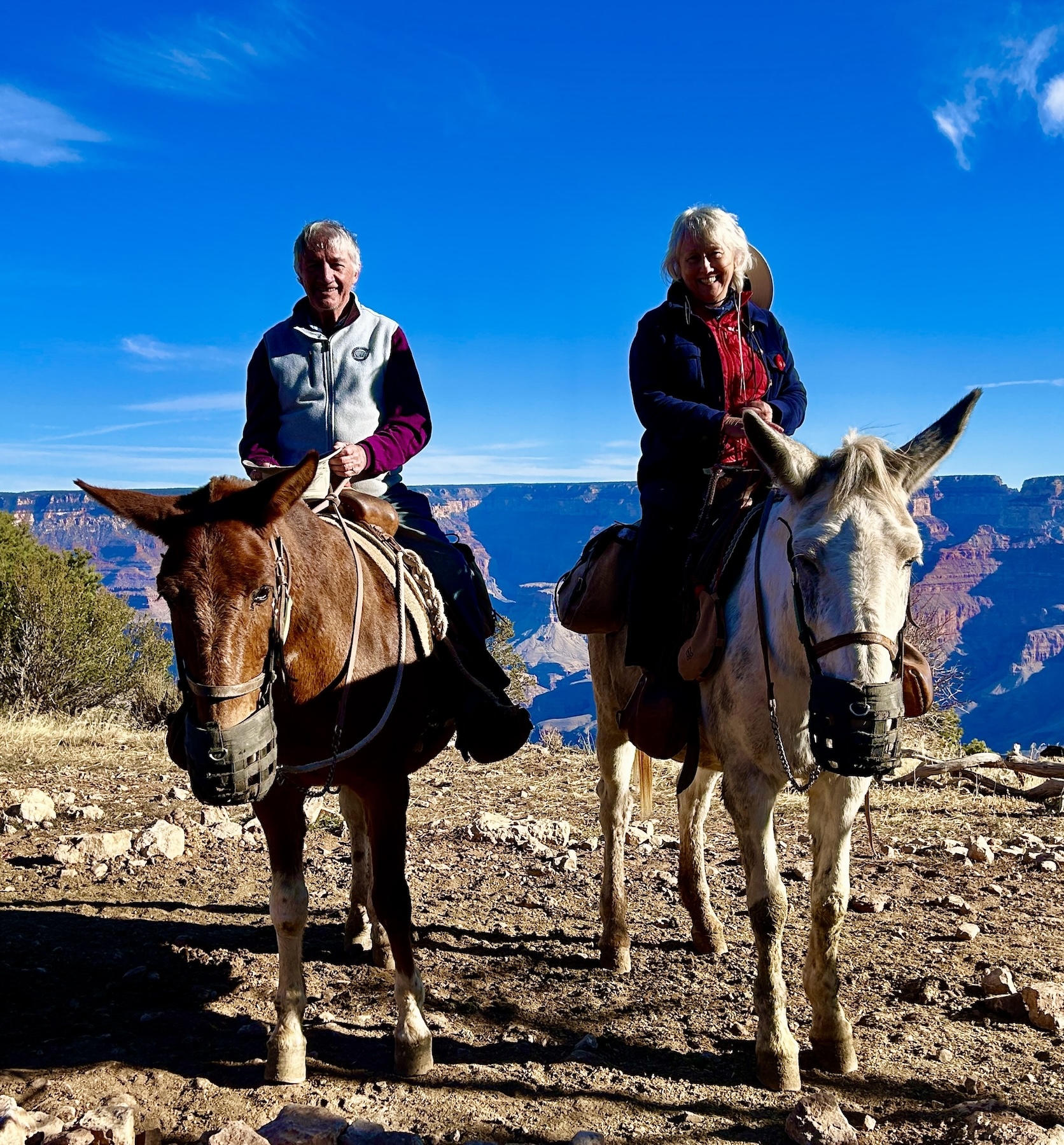 Grand Canyon on Mules