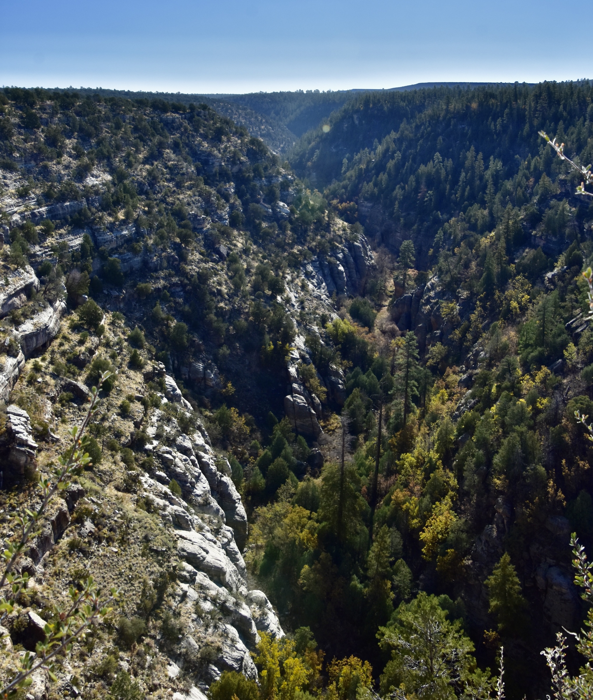 View of Walnut Canyon