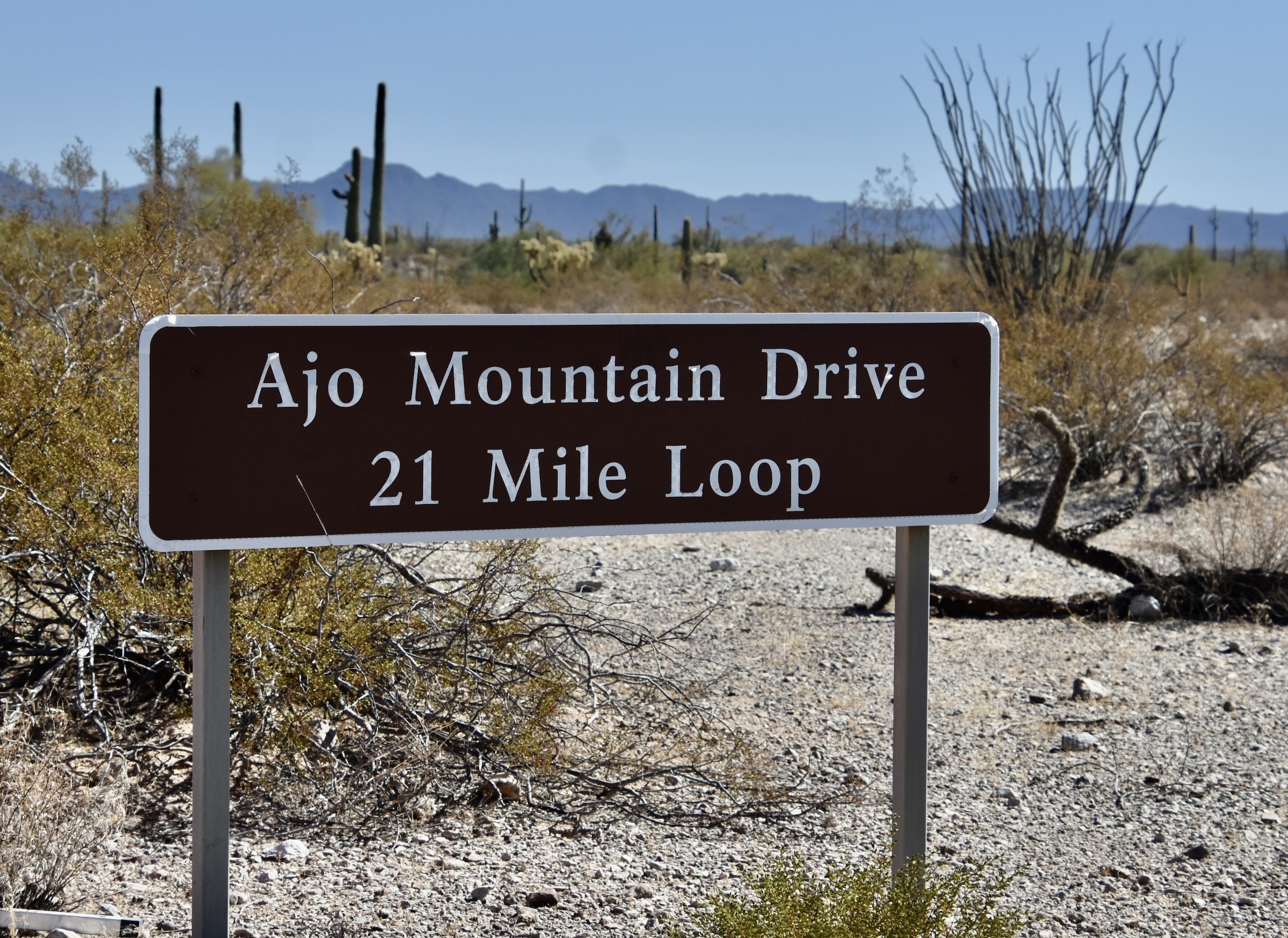 Ajo Mountain Drive, Organ Pipe Cactus N.M.