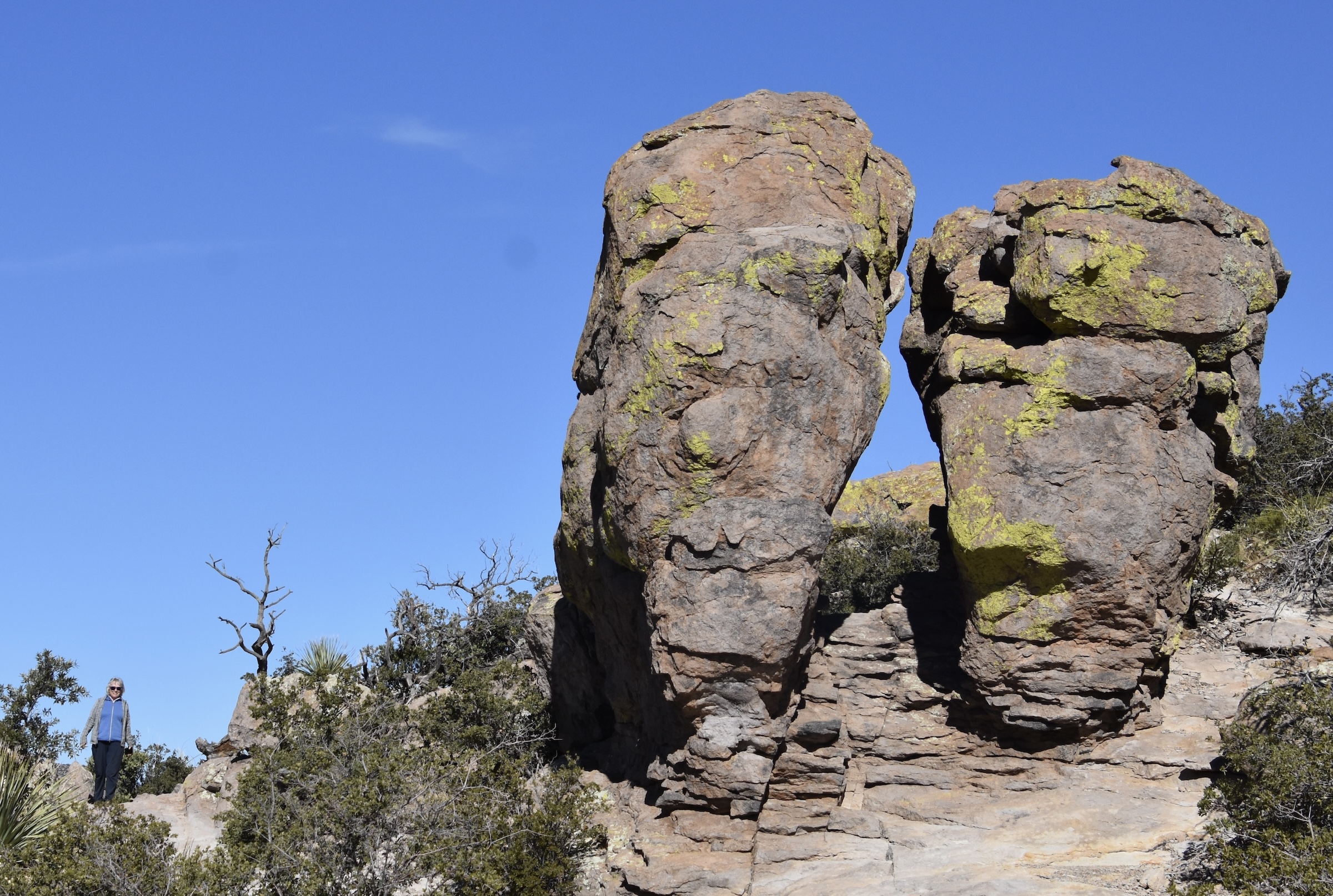 Alison at Chiricahua National Monument