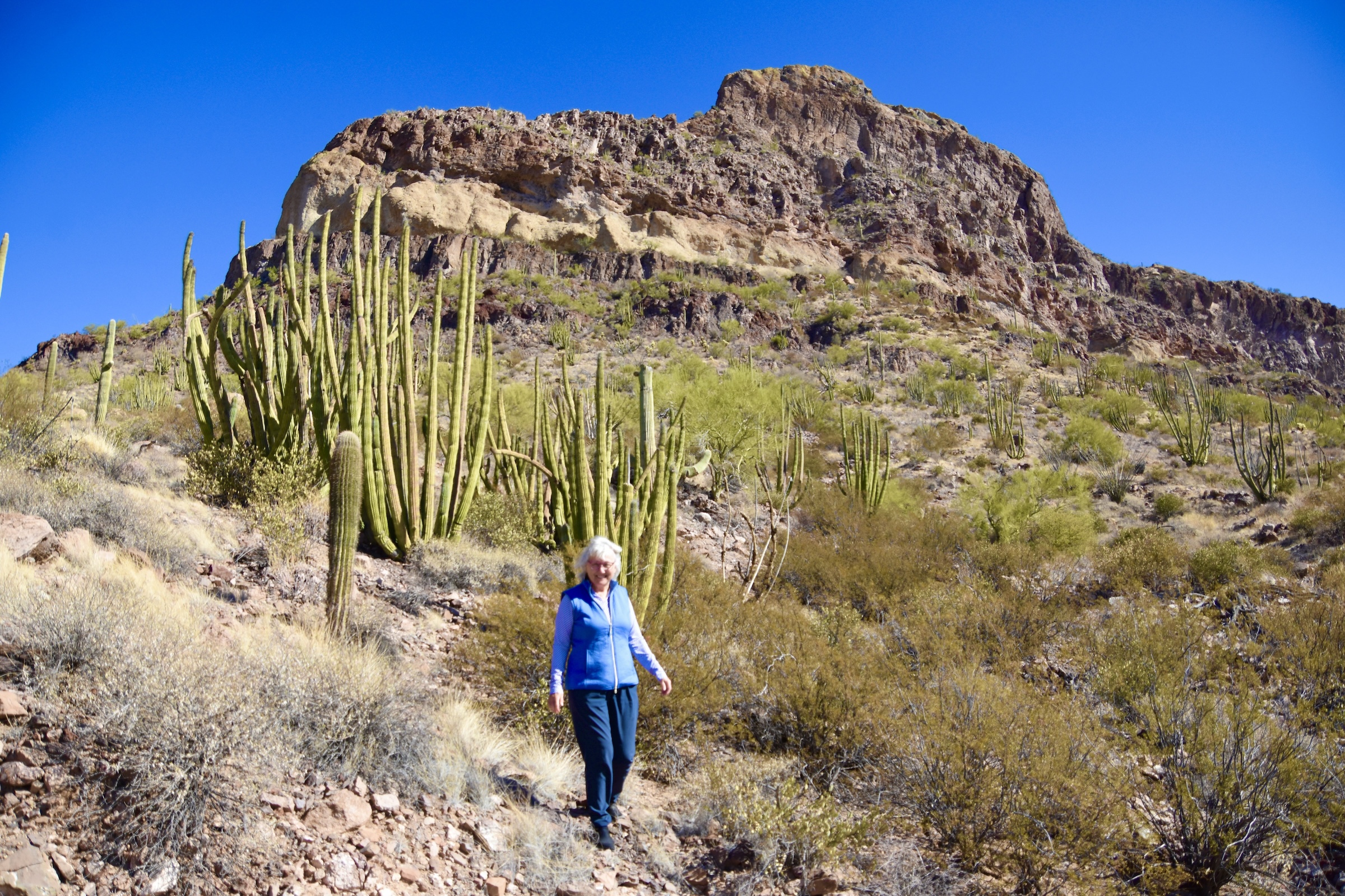 Alison at Organ Pipe Cactus N.M.