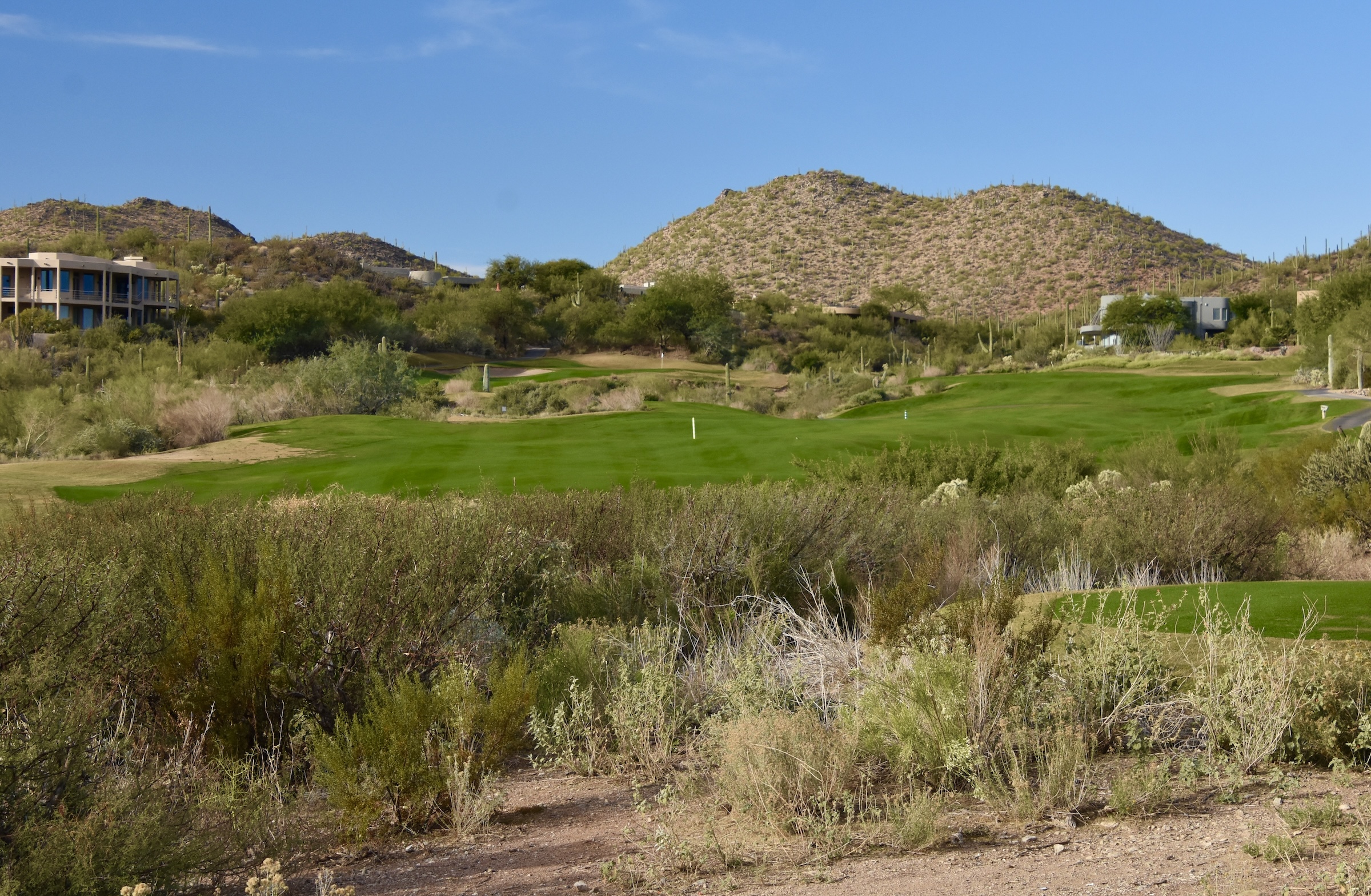 Rattler #5 at Starr Pass