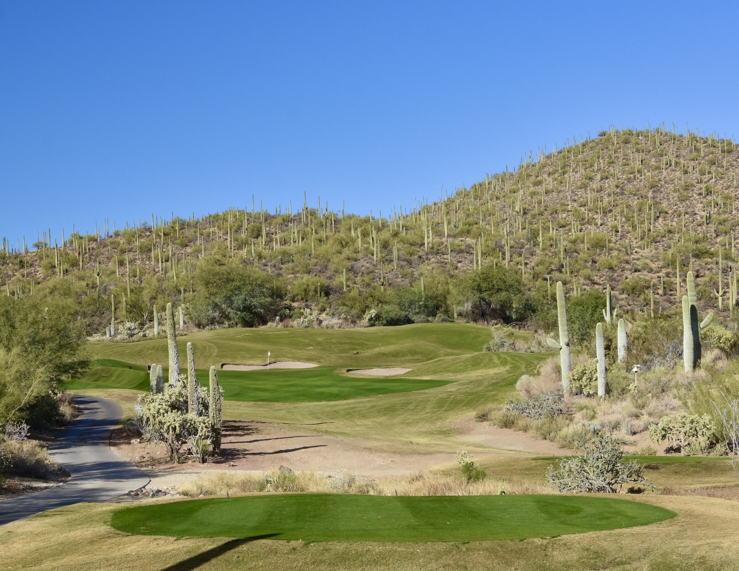 Rattler #6 at Starr Pass