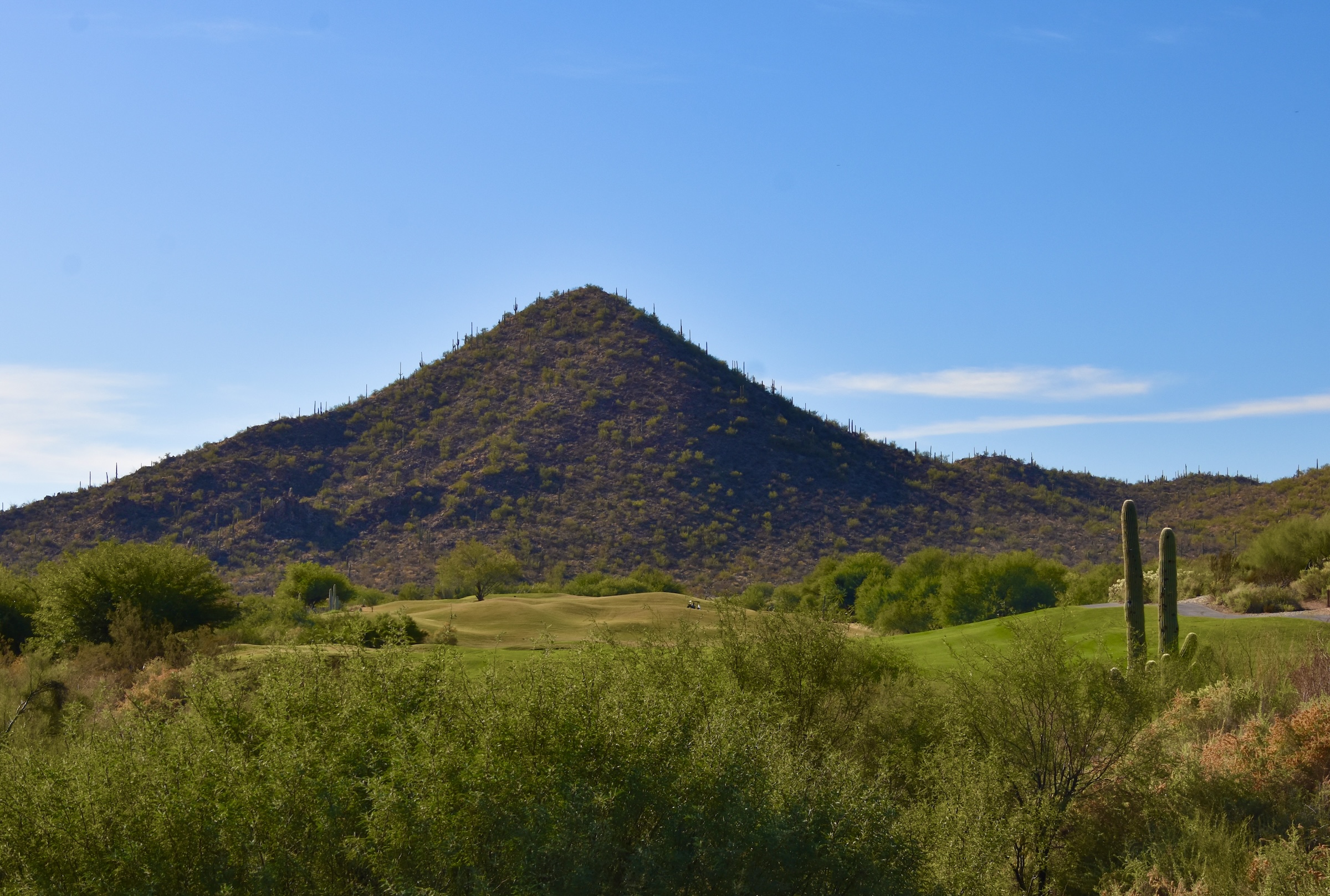 Rattler #9 at Starr Pass