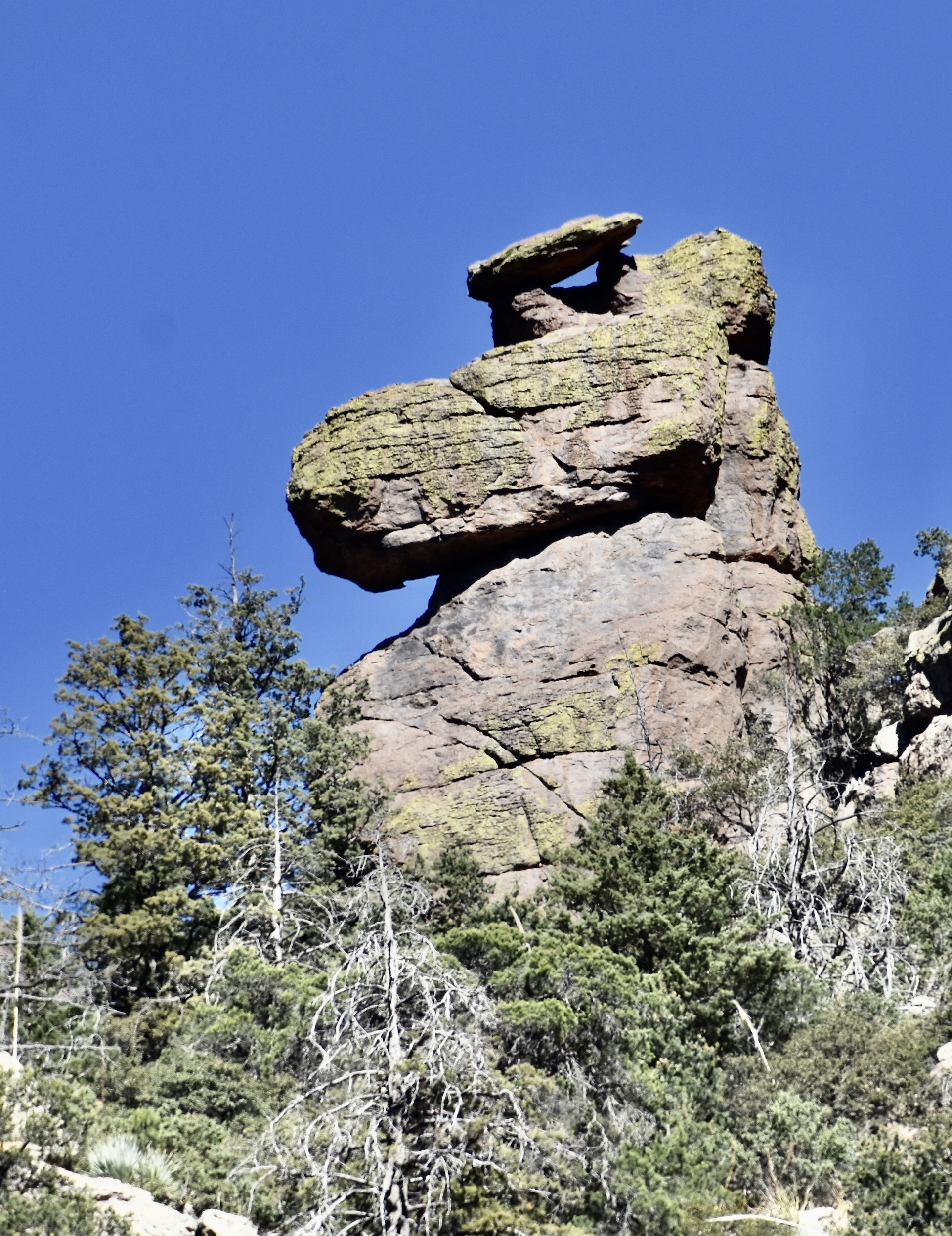 Snoopy, Chiricahua National Monument