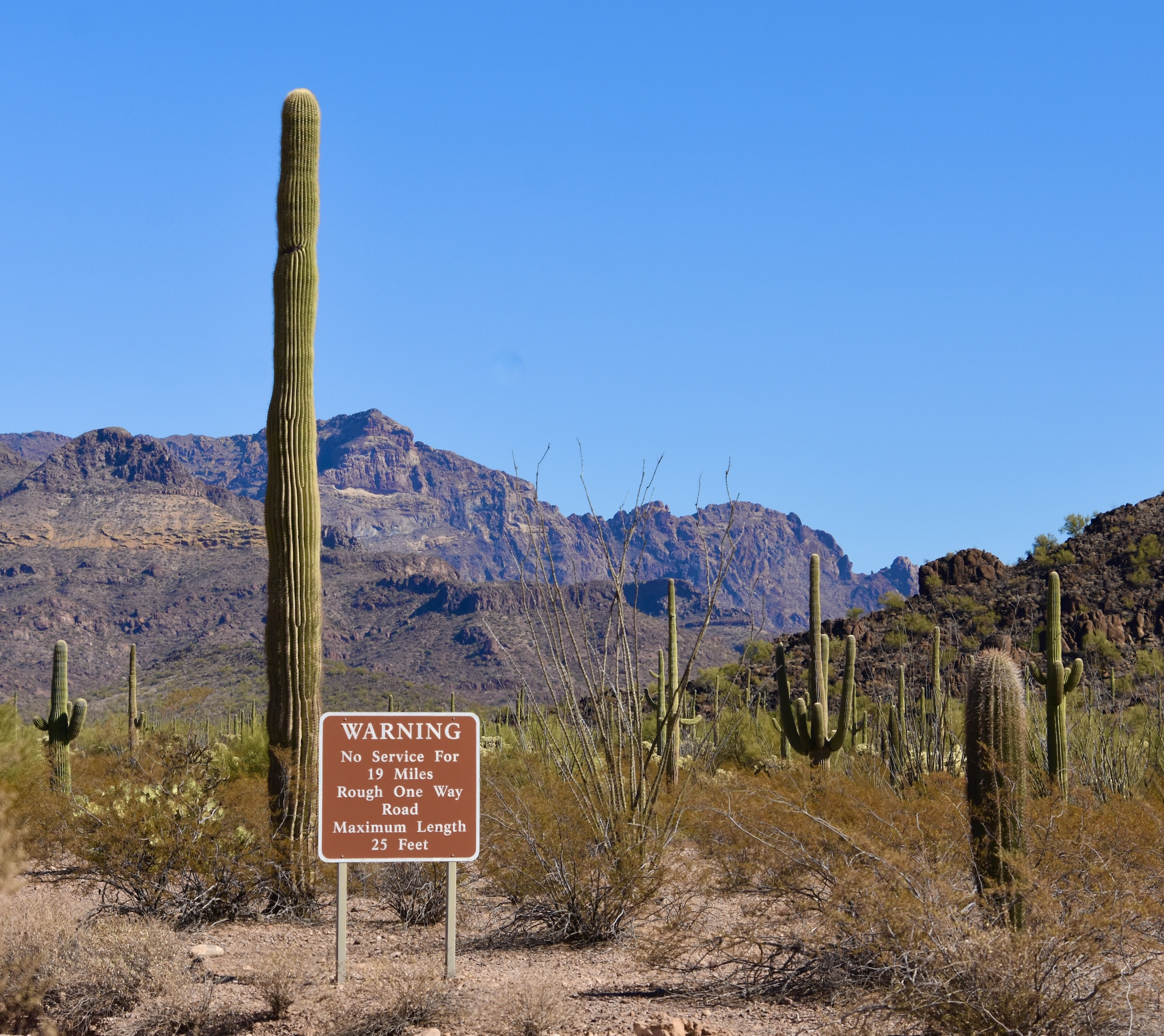 Warning Sign, Organ Pipe Cactus N.M.