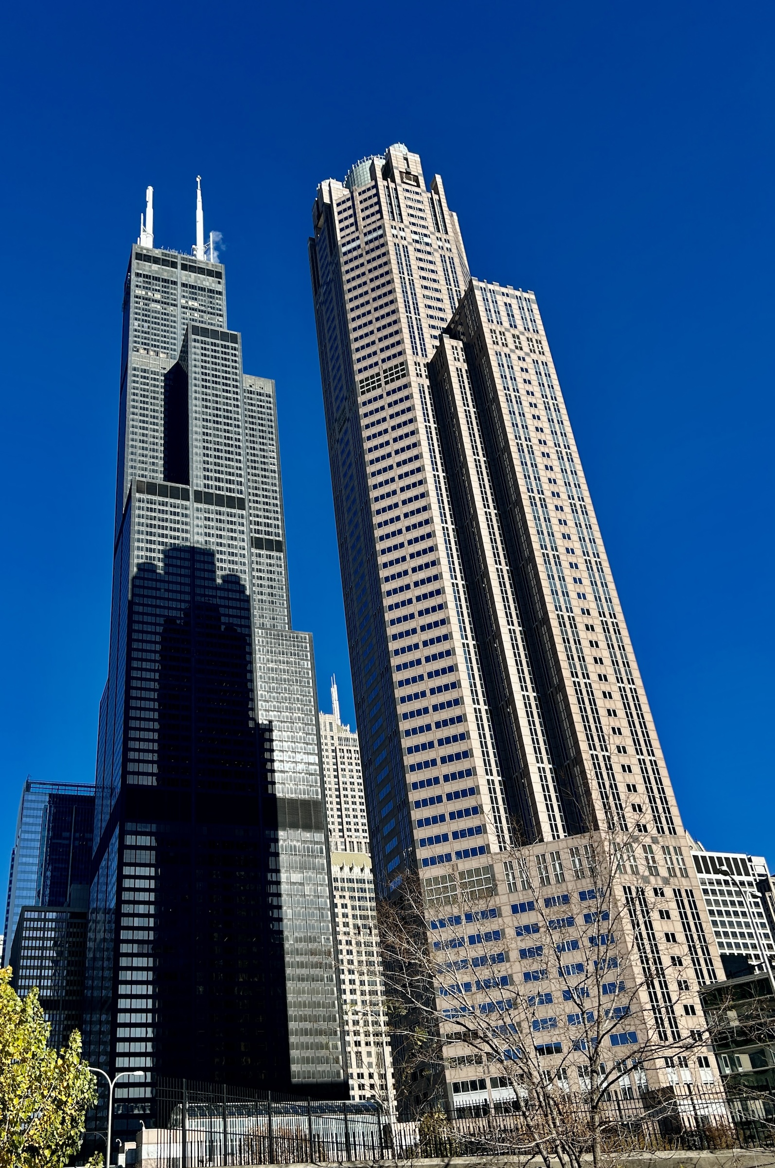 Sears Willis Tower from the Chicago River