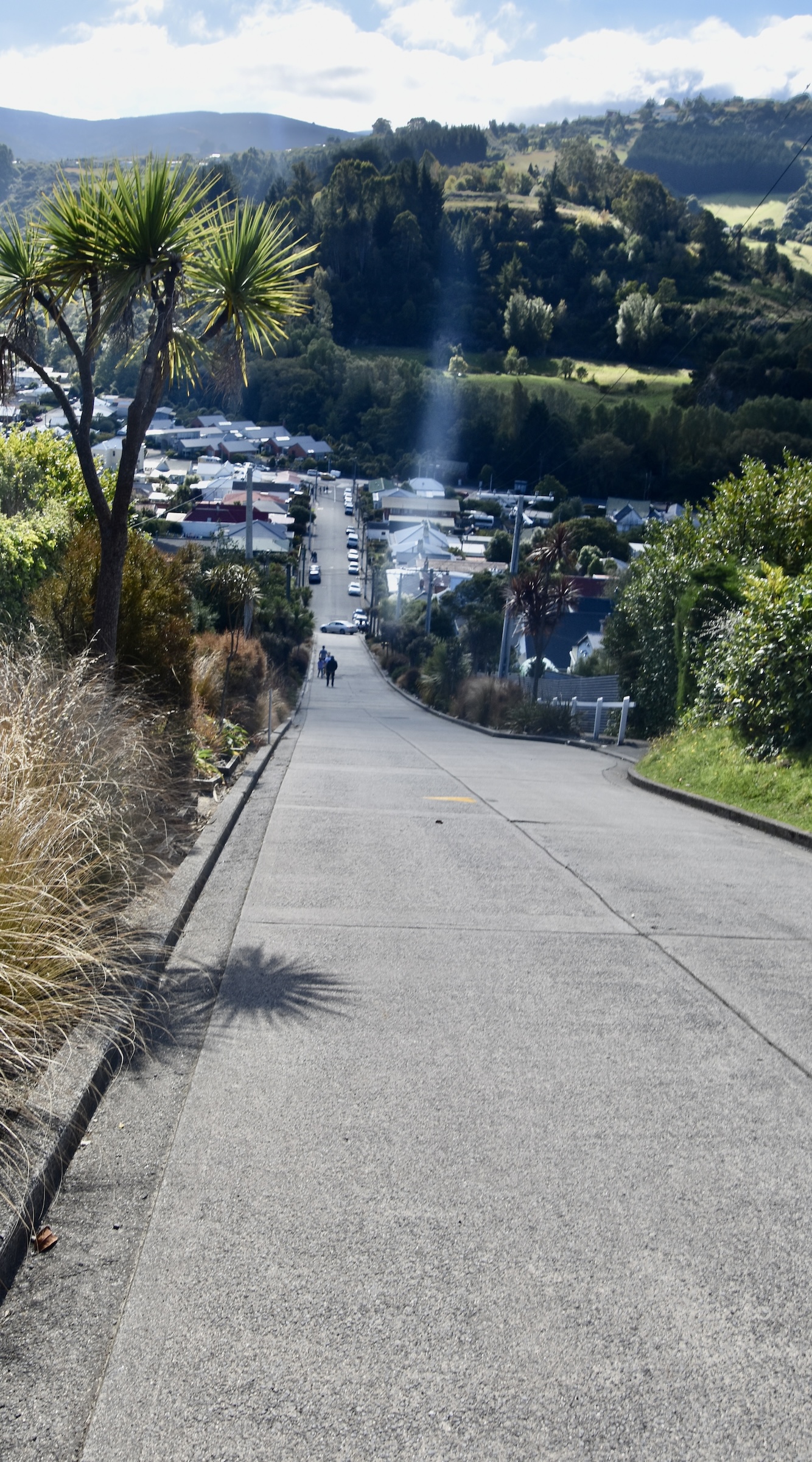 Baldwin Street Dunedin