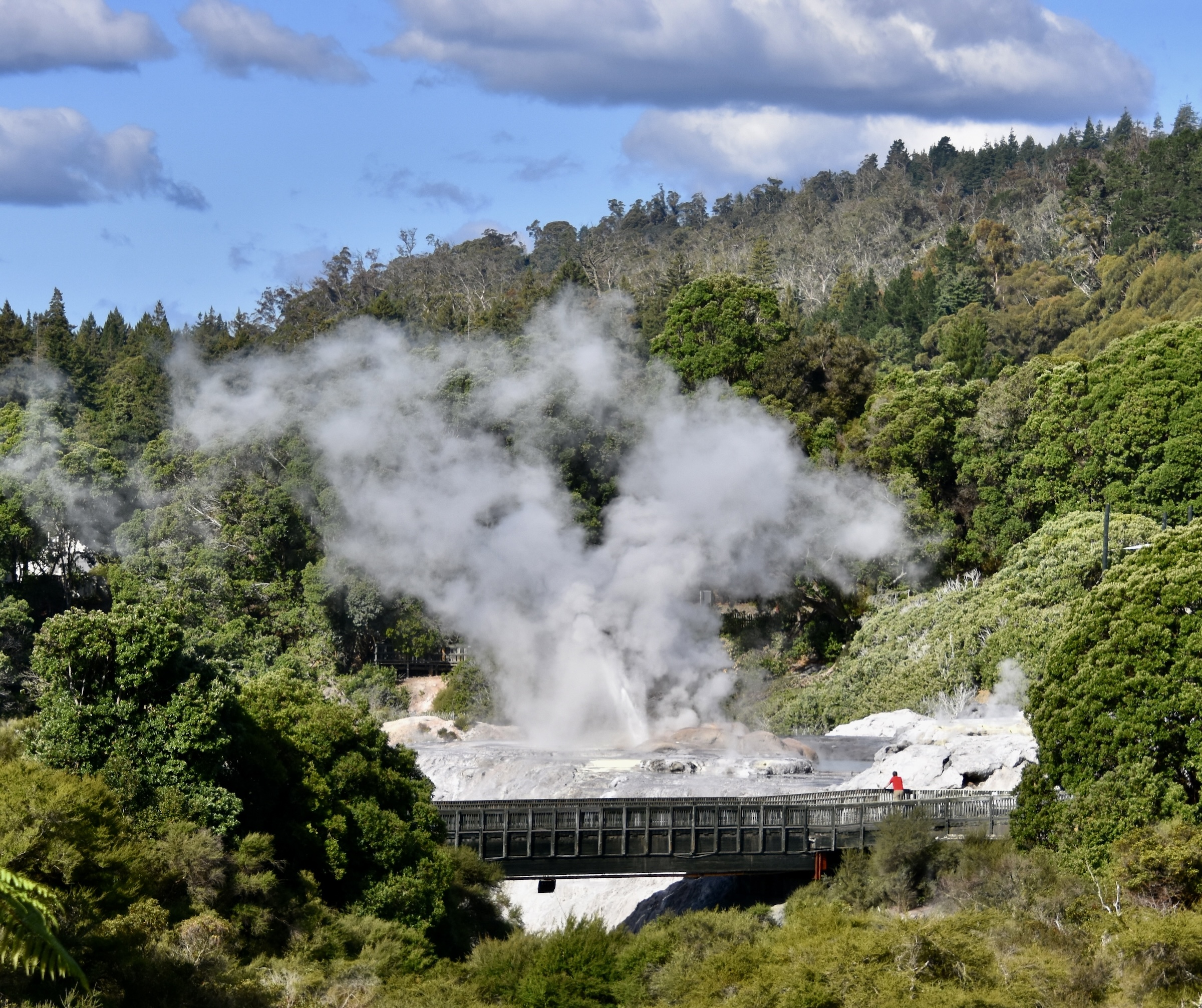 Pohutu Erupting on Maori Territory