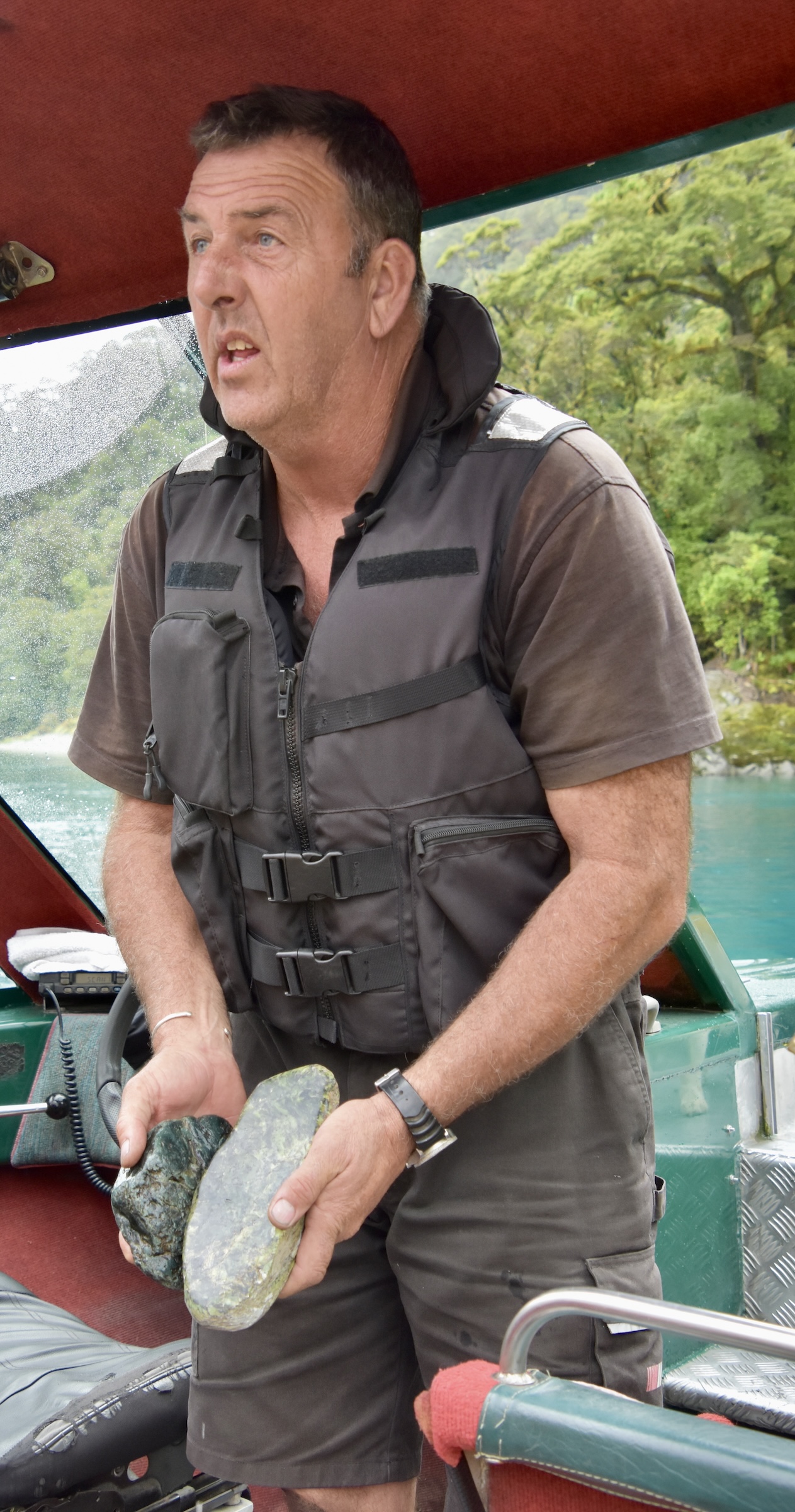 Pounamu Specimen, Te Wahipounamu