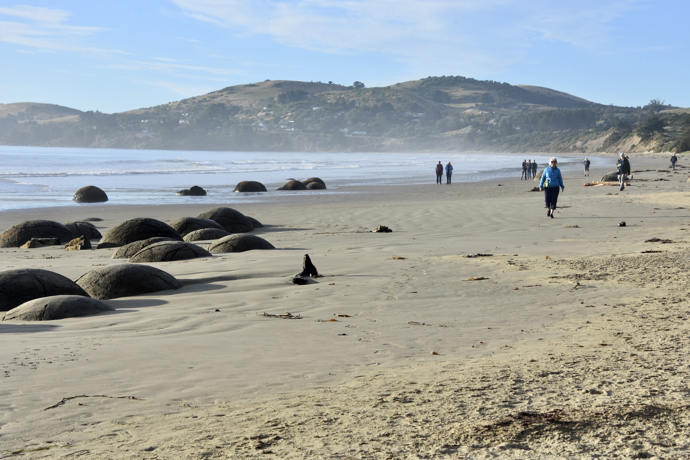 On Moeraki Beach