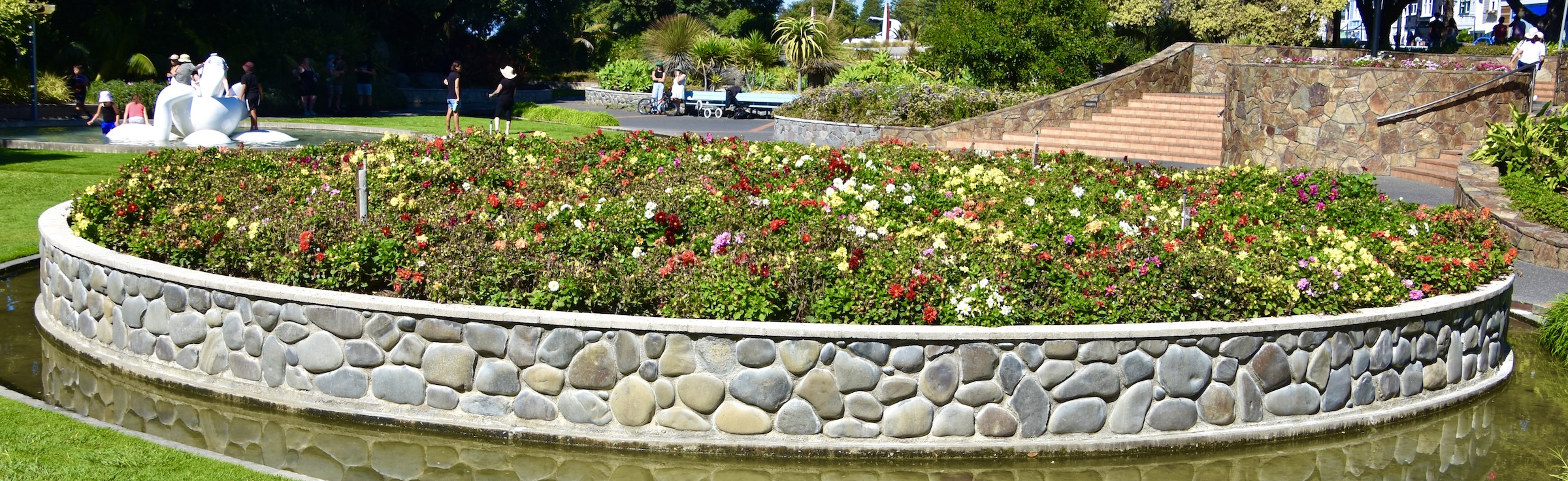 Dahlia Garden, Napier