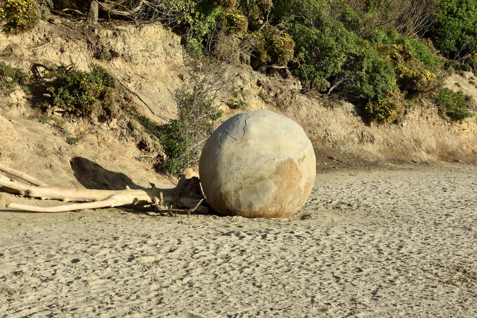 Moeraki Boulder