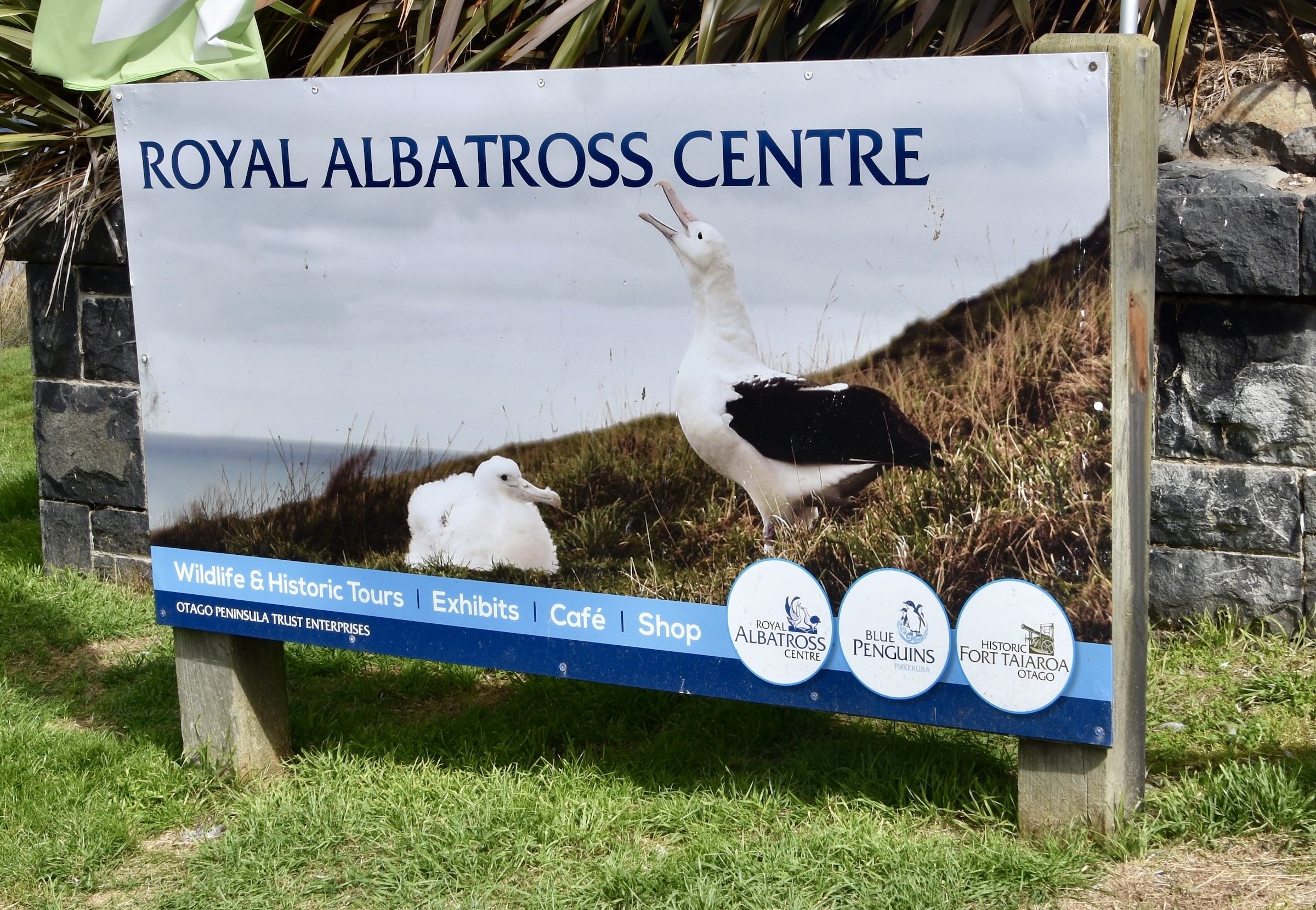 Royal Albatross Centre, Otago Peninsula