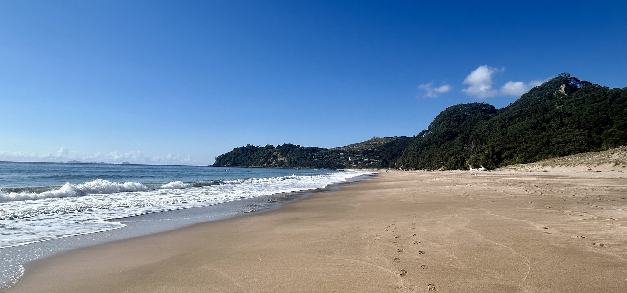 Hot Water Beach, The Coromandel