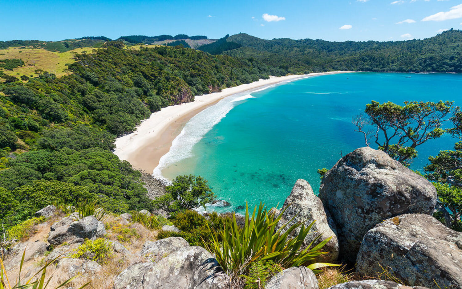 New Chums Beach, The Coromandel