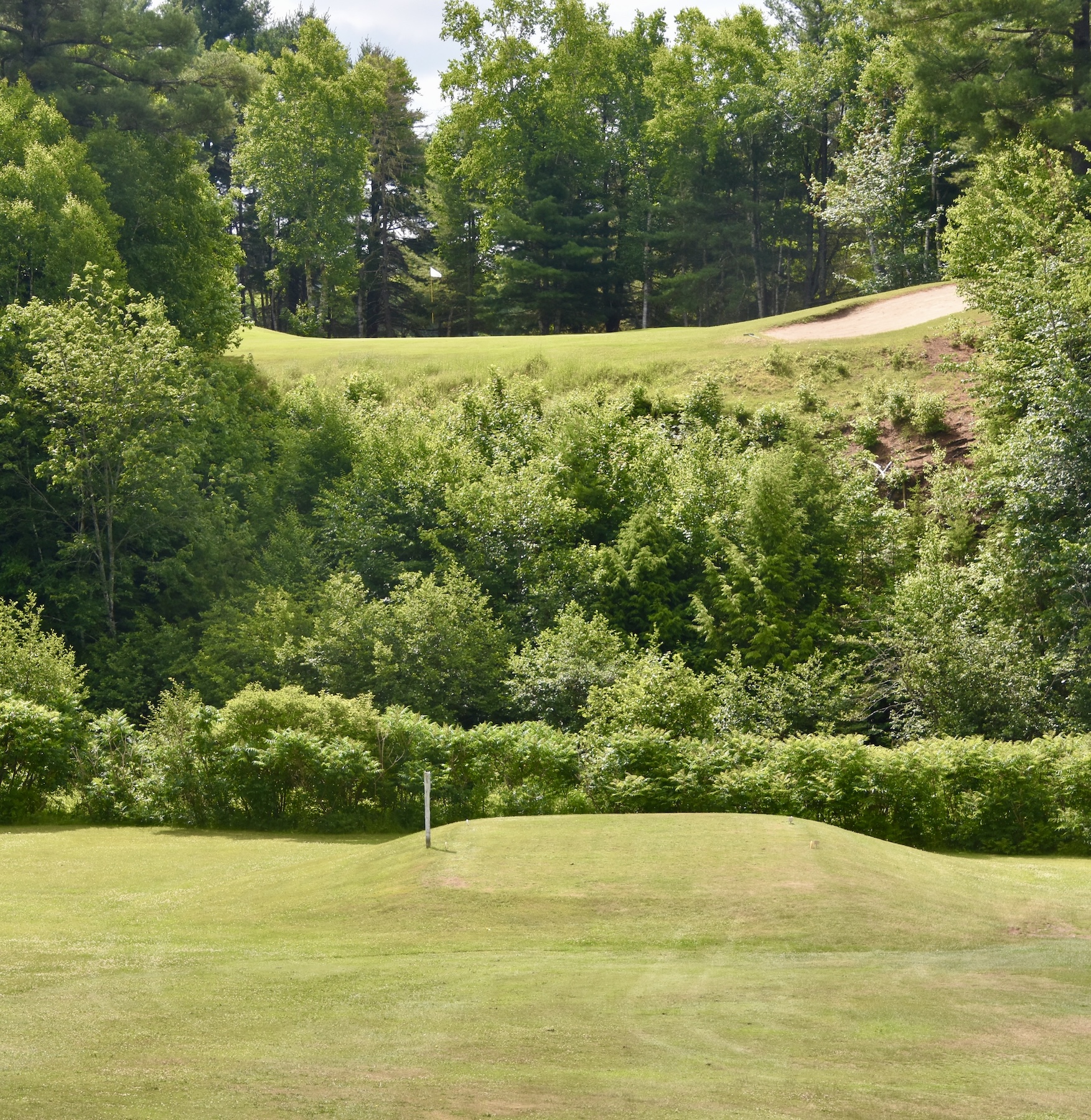 No. 11 Back Tees, St. Ignace