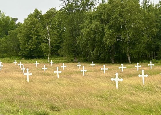 Over 6,000 Unmarked Graves on Grosse Ile
