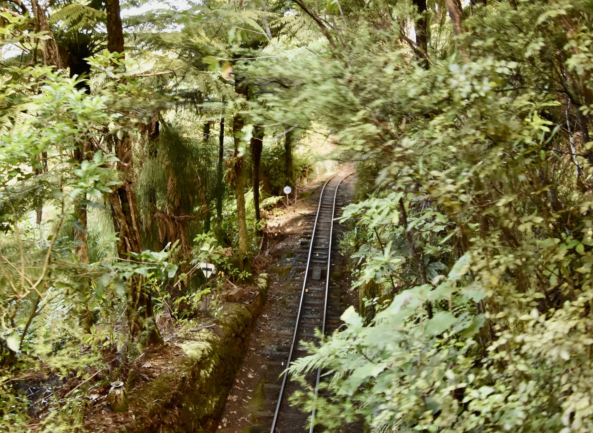 Driving Creek Railway, The Coromandel
