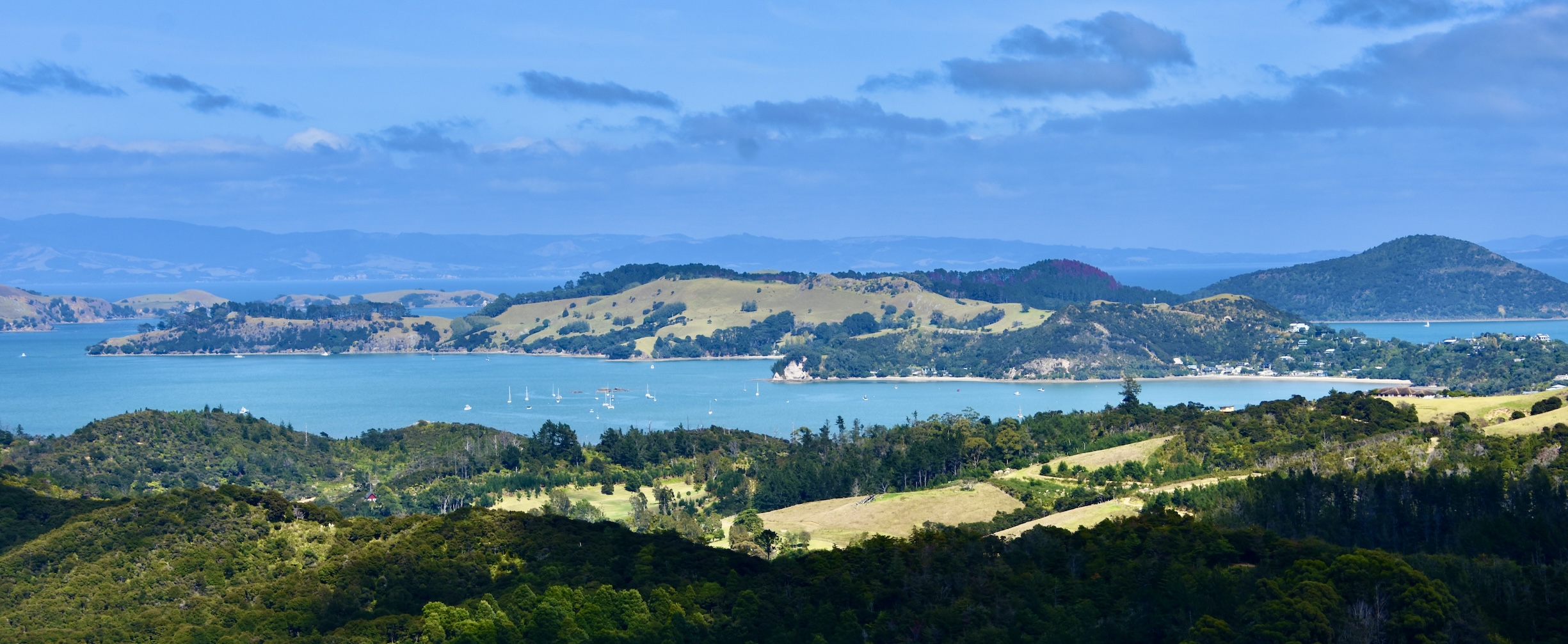 View from Eyefull Tower, The Coromandel