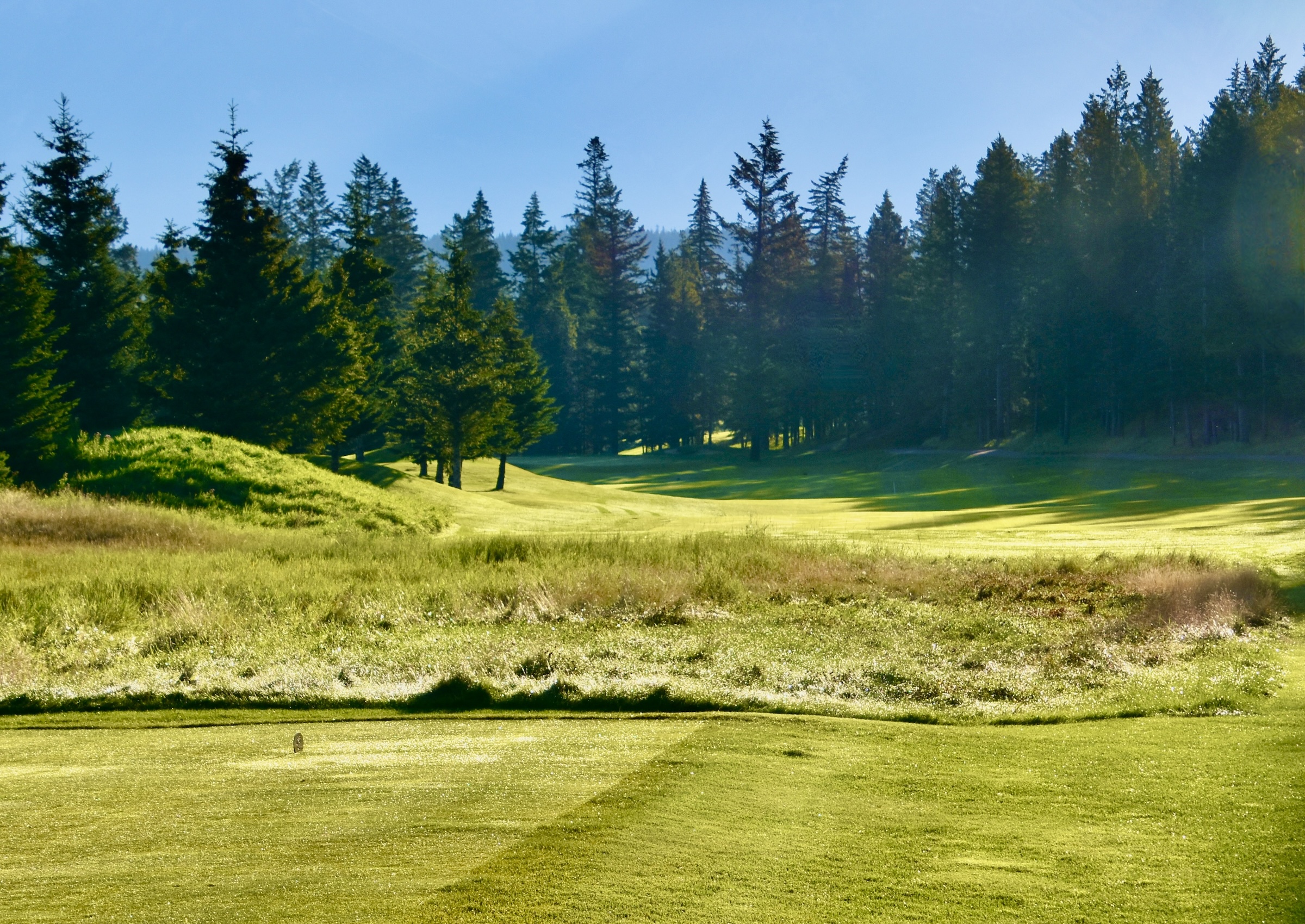 Banff Springs No. 1 - Peechee 