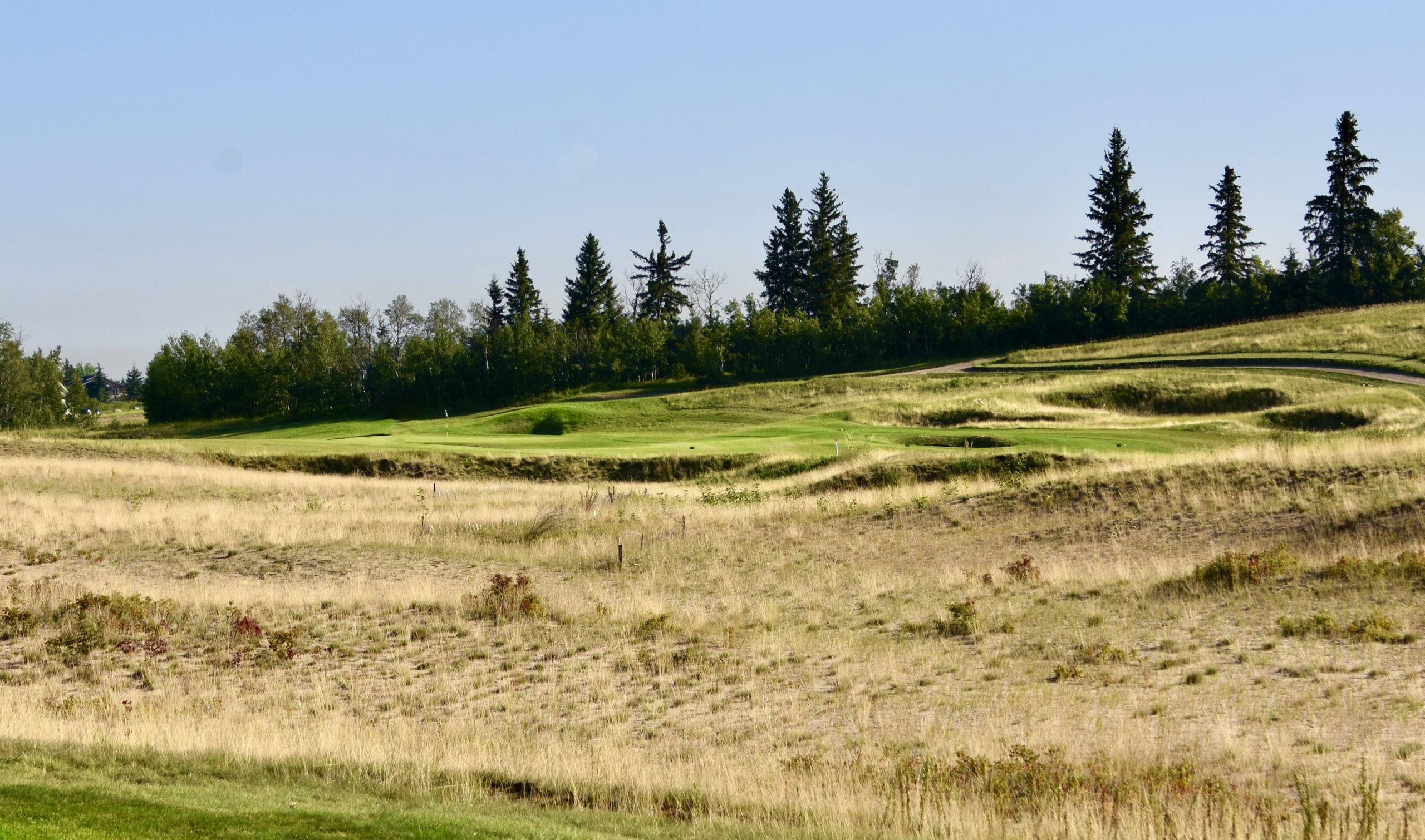 No. 10 - Genesis, Wolf Creek Links Course