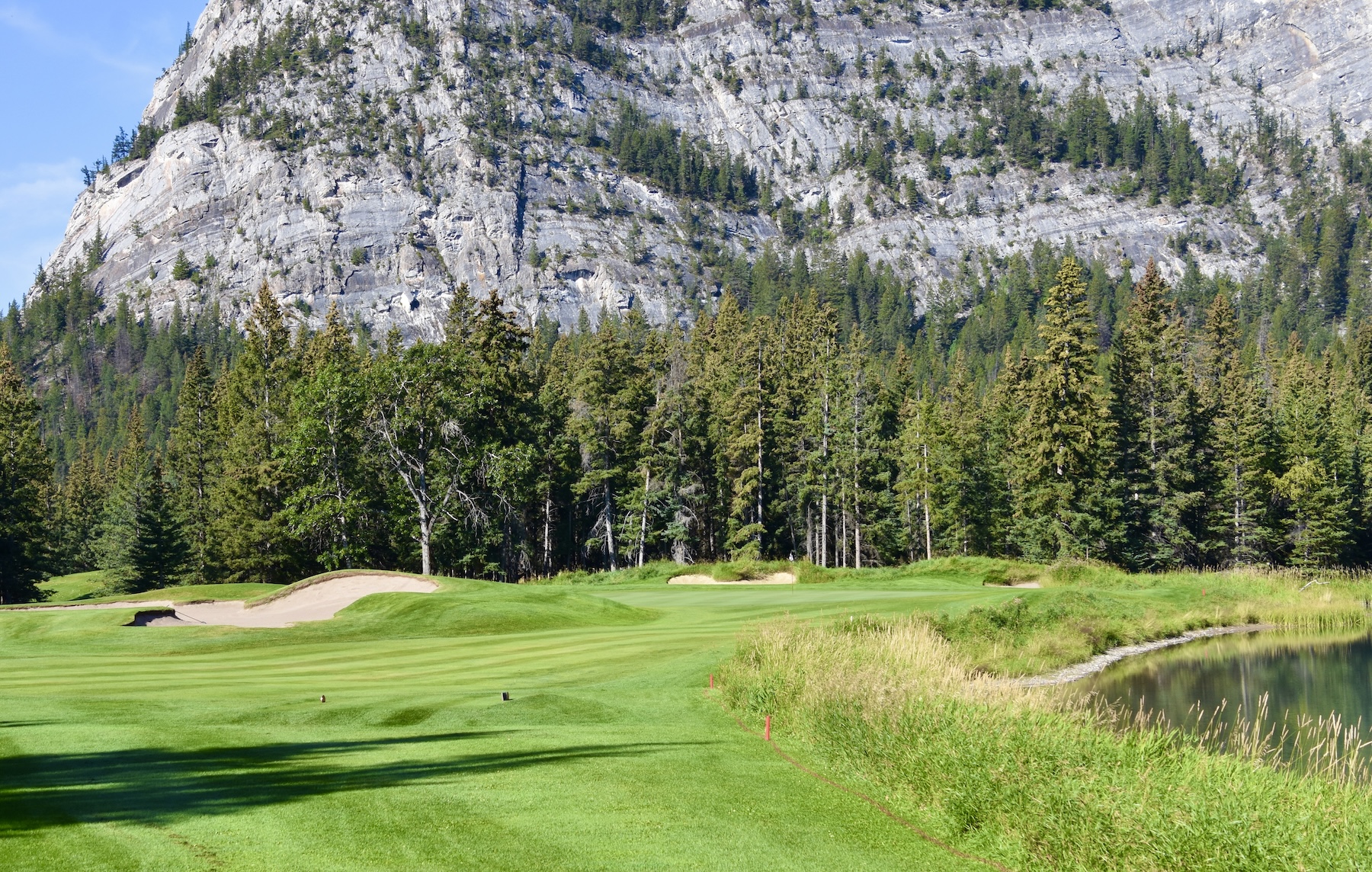 No. 10 - Gold Tees, Banff Springs