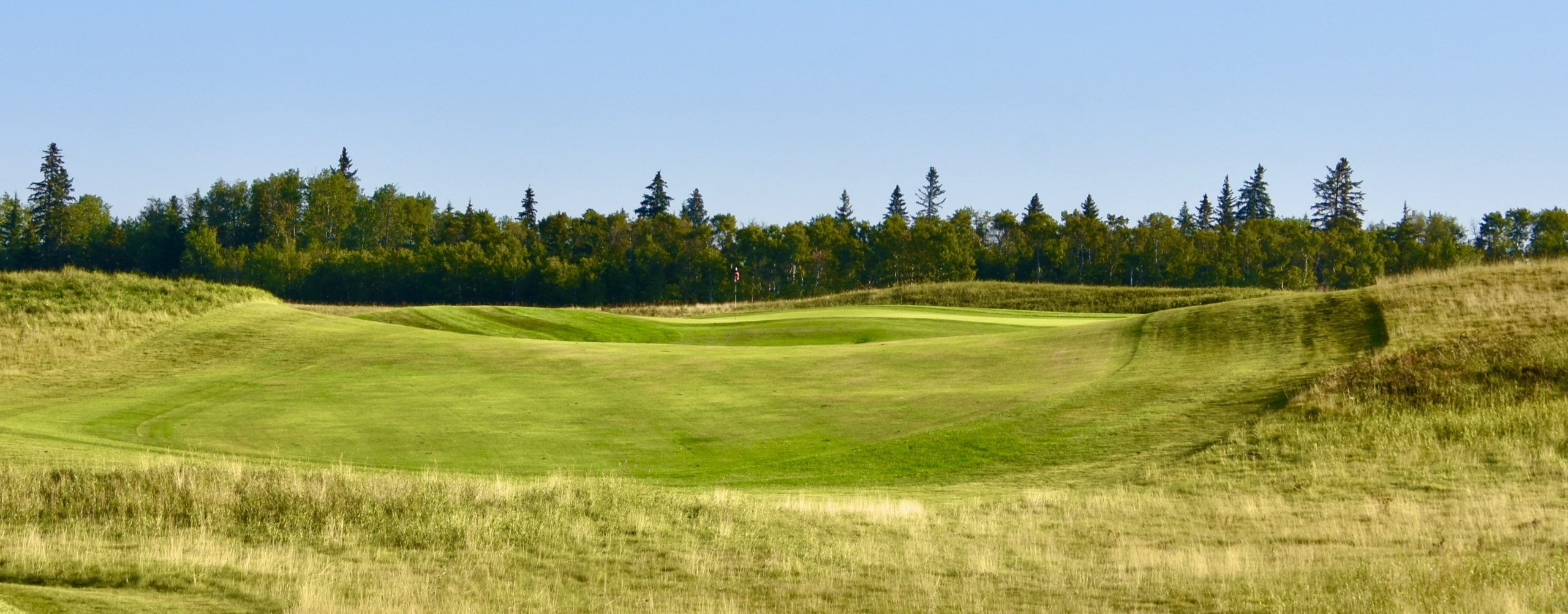 Wolf Creek Old Course #10