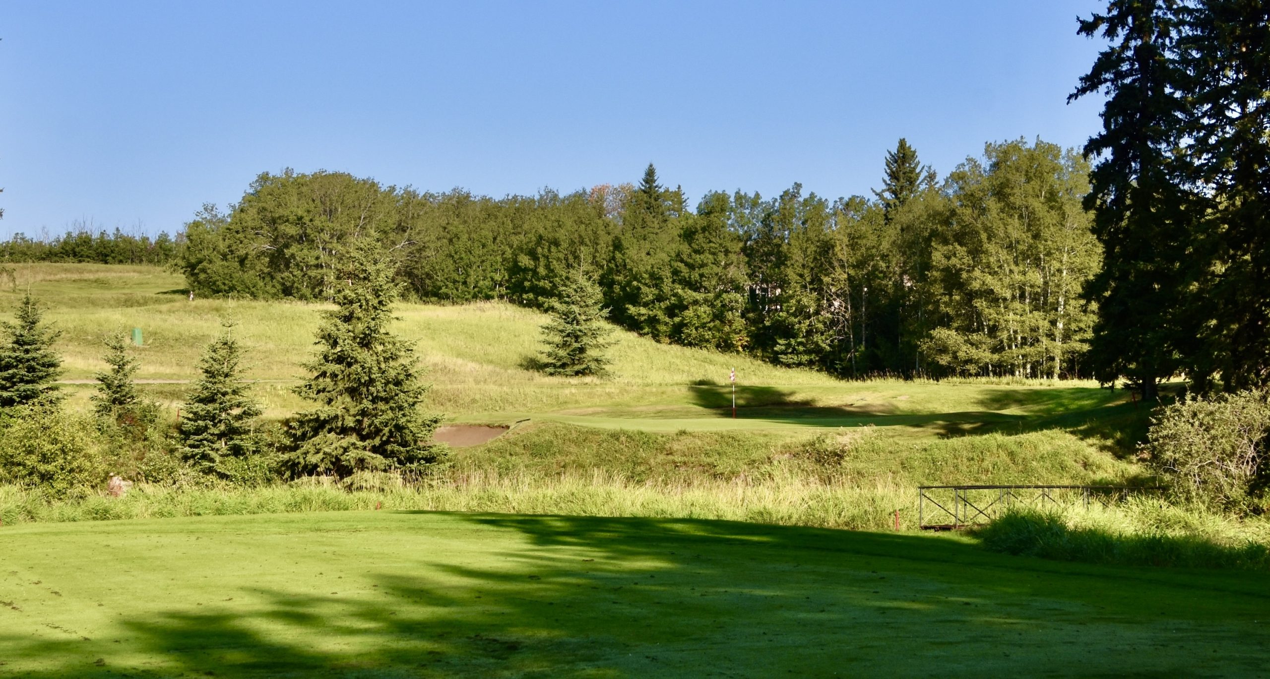 No. 11 Approach, Wolf Creek Old Course