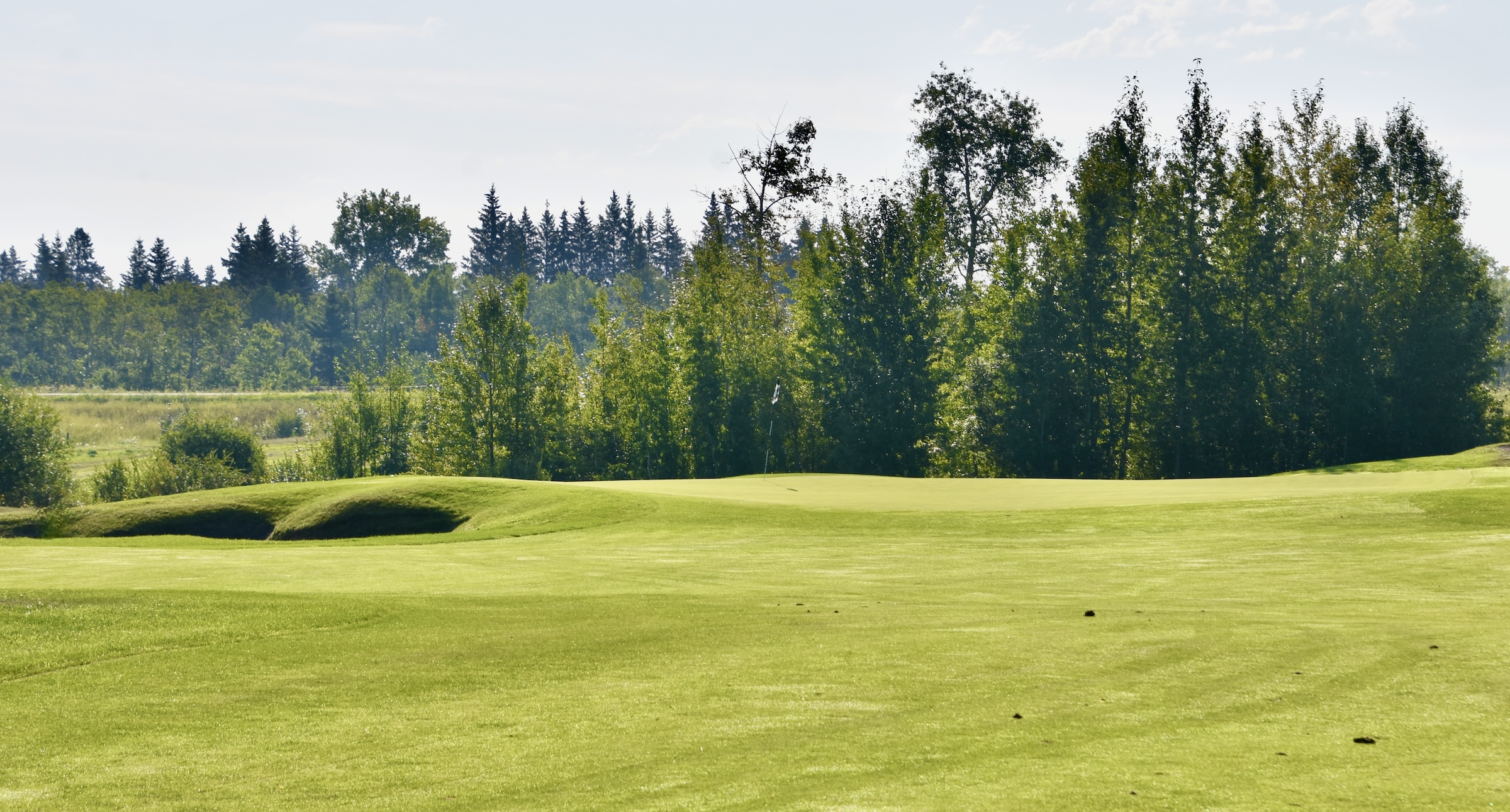 No. 11 Approach, Wolf Creek Links Course
