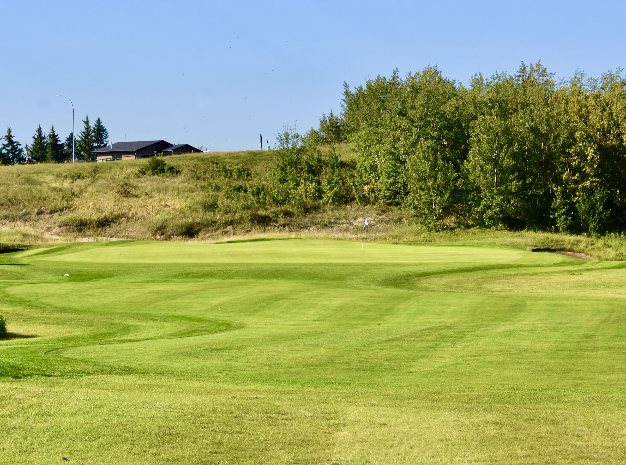 No. 14 - Hybrid, Wolf Creek Links Course