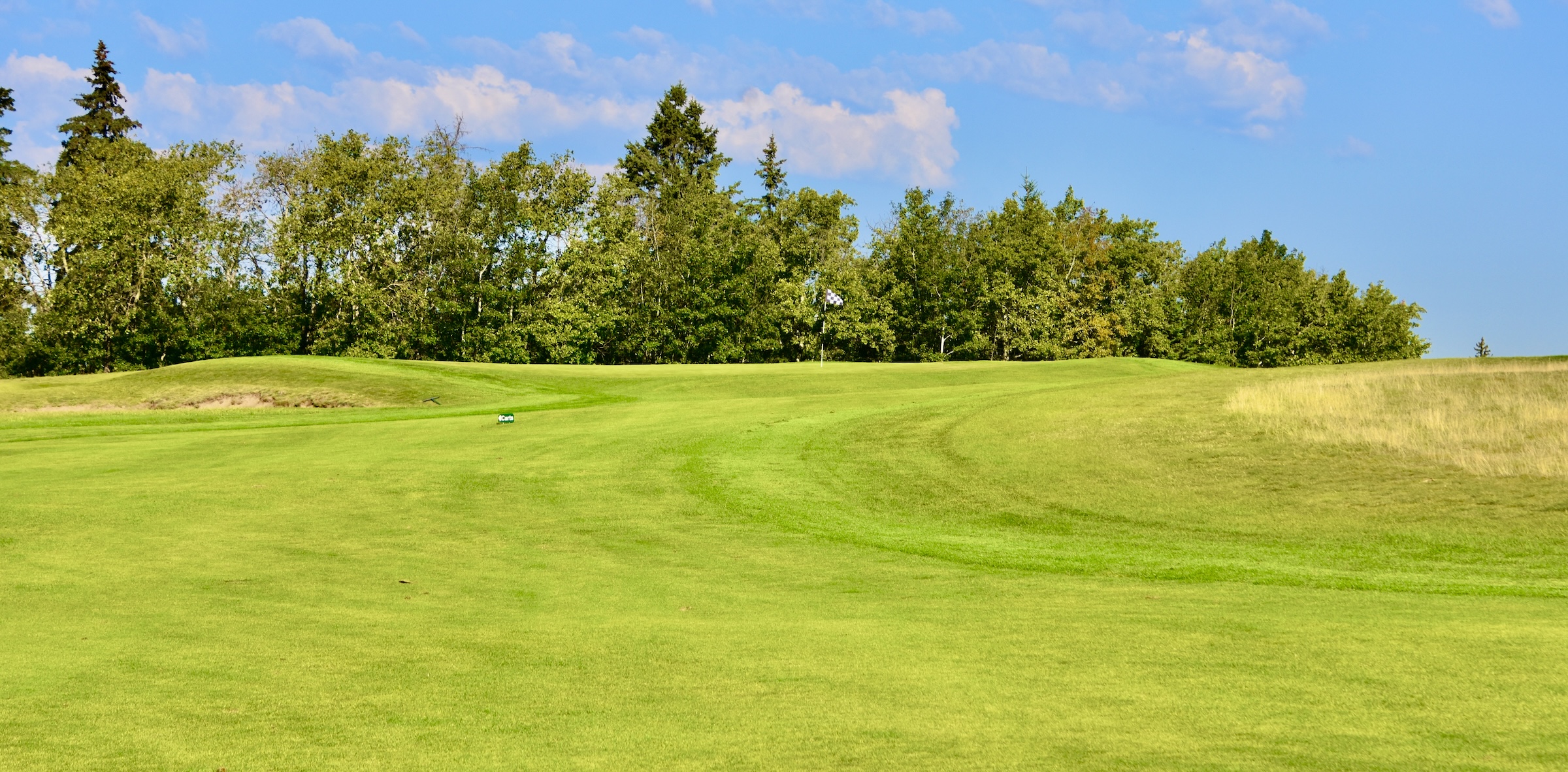 No. 15 Approach, Wolf Creek Links Course